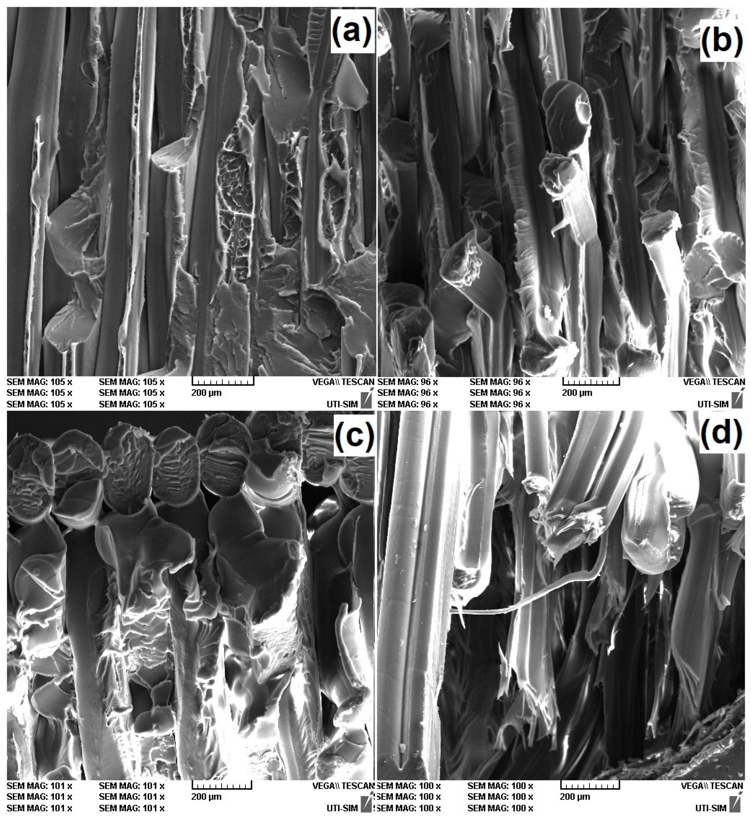 Polymers 15 02378 g013