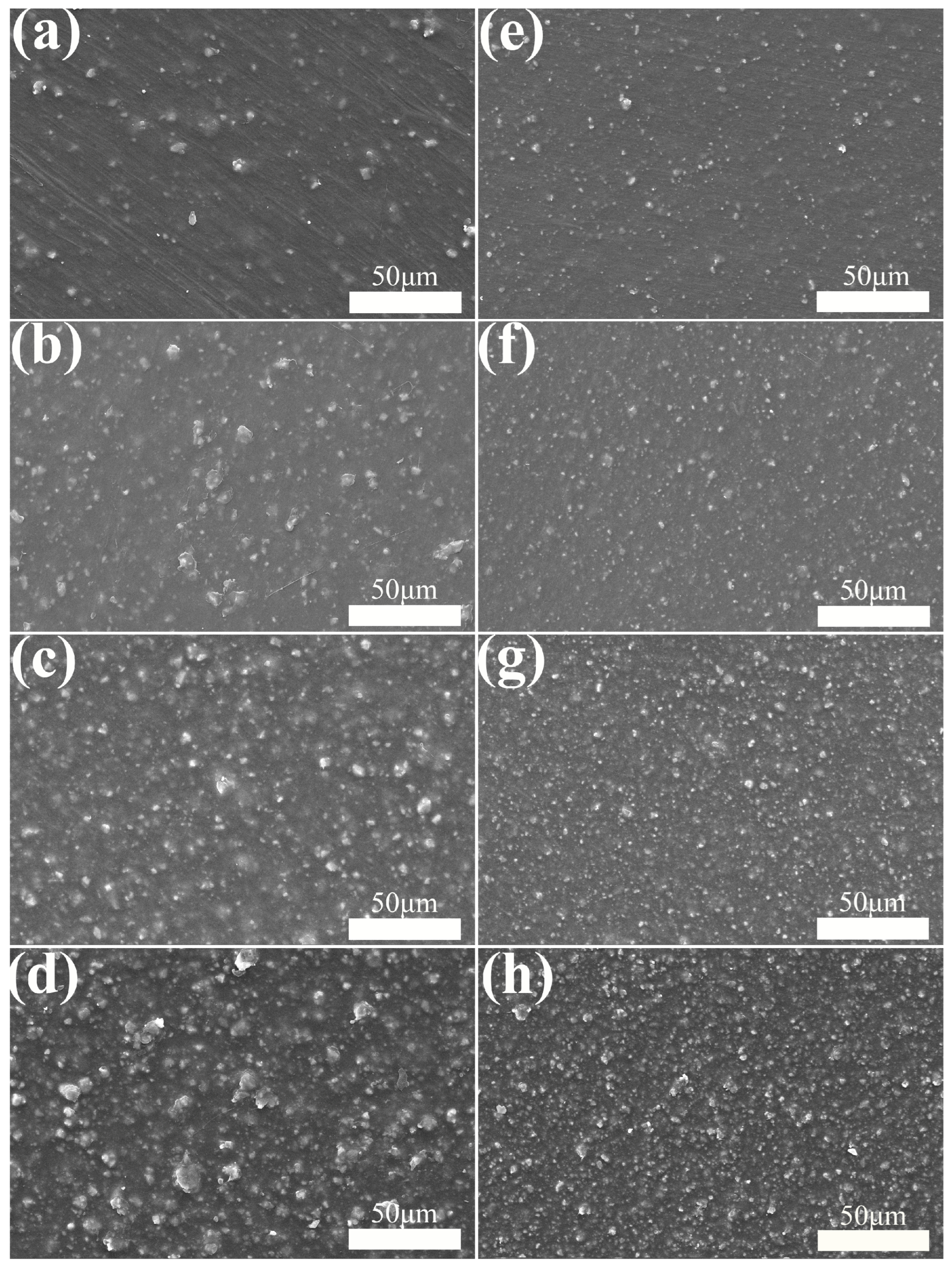 Polymers 15 02379 g002