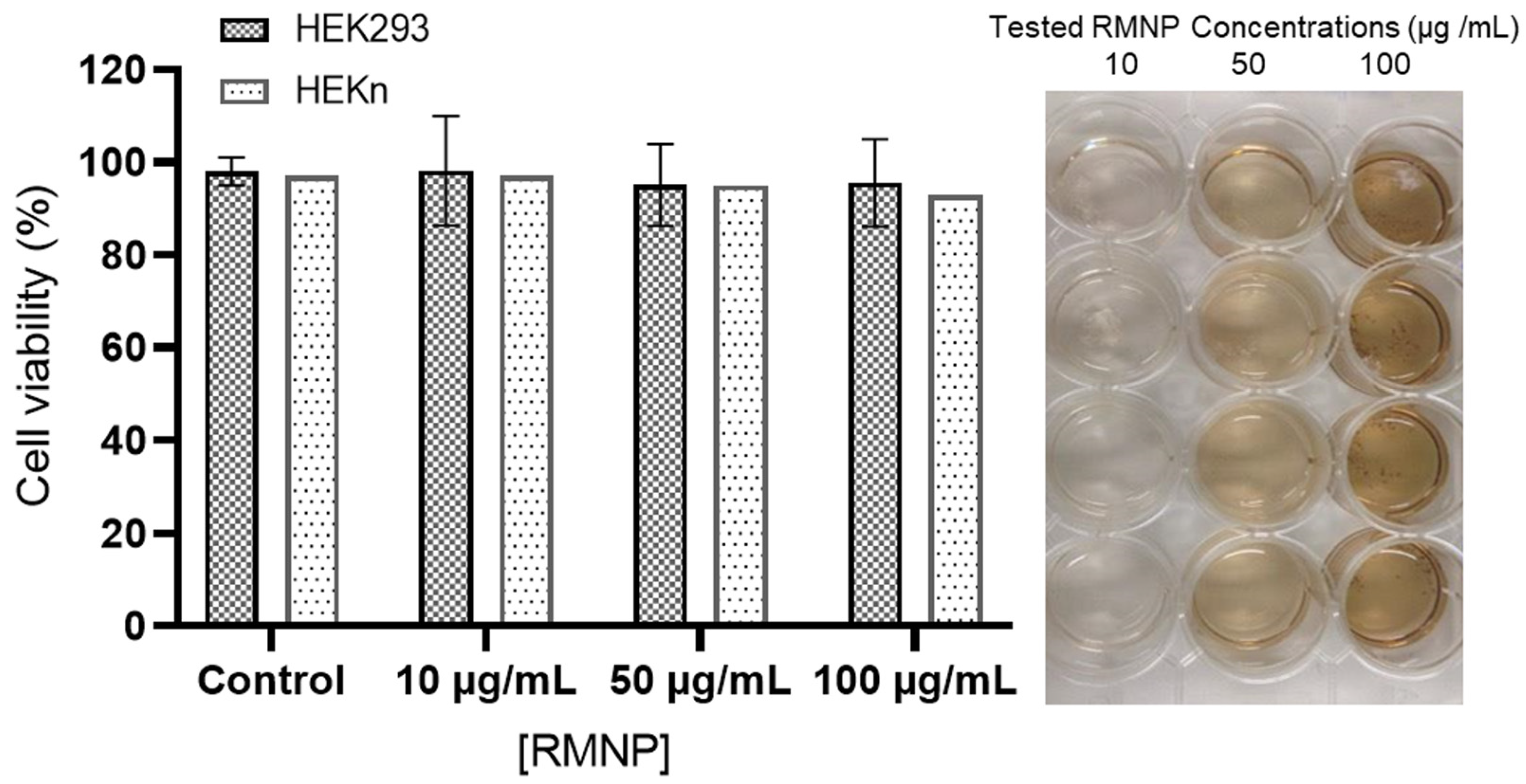 Polymers 15 02381 g007