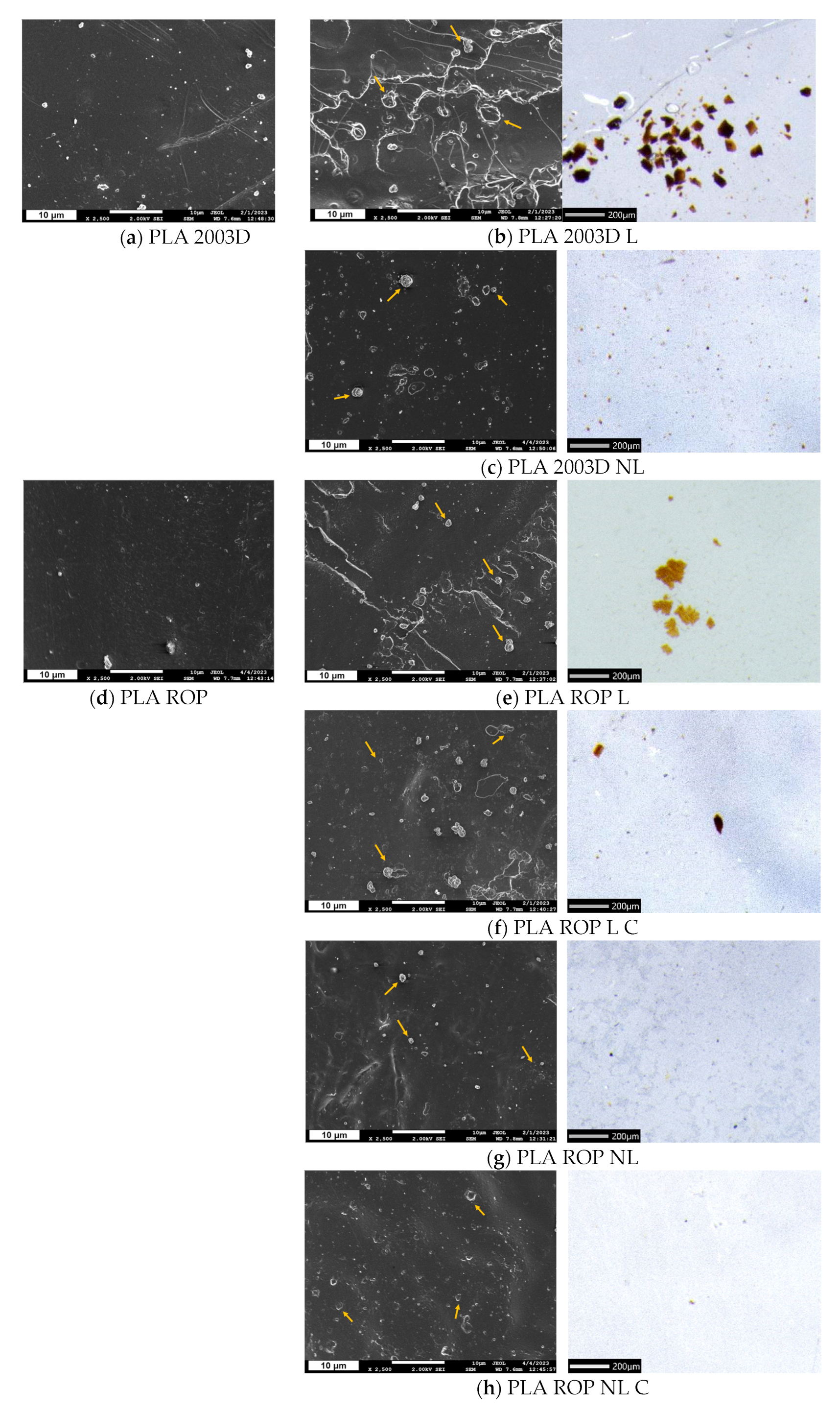 Polymers 15 02386 g002 Polymers 15 02386 g002