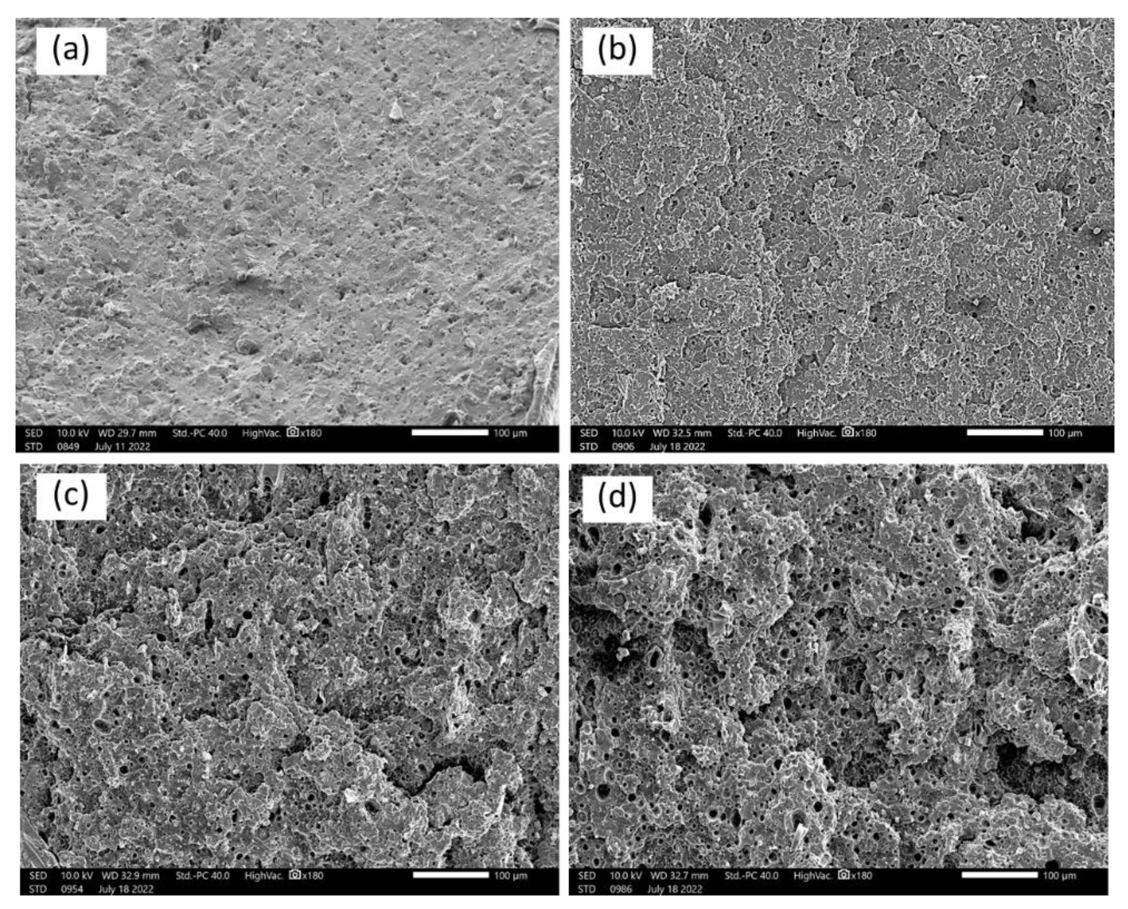 Polymers 15 02388 g007