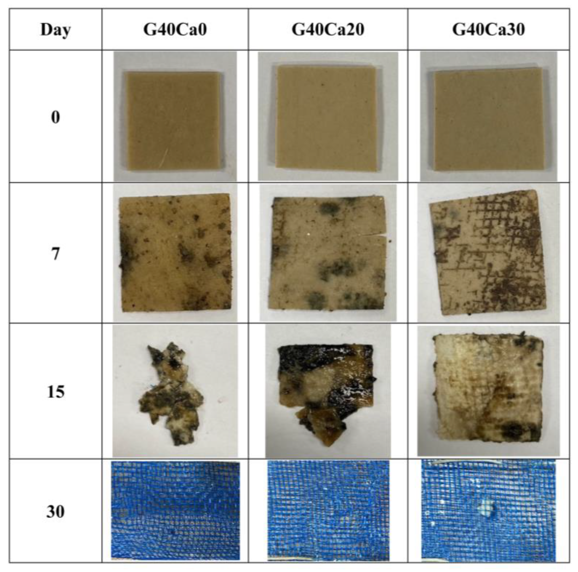 Polymers 15 02388 g011