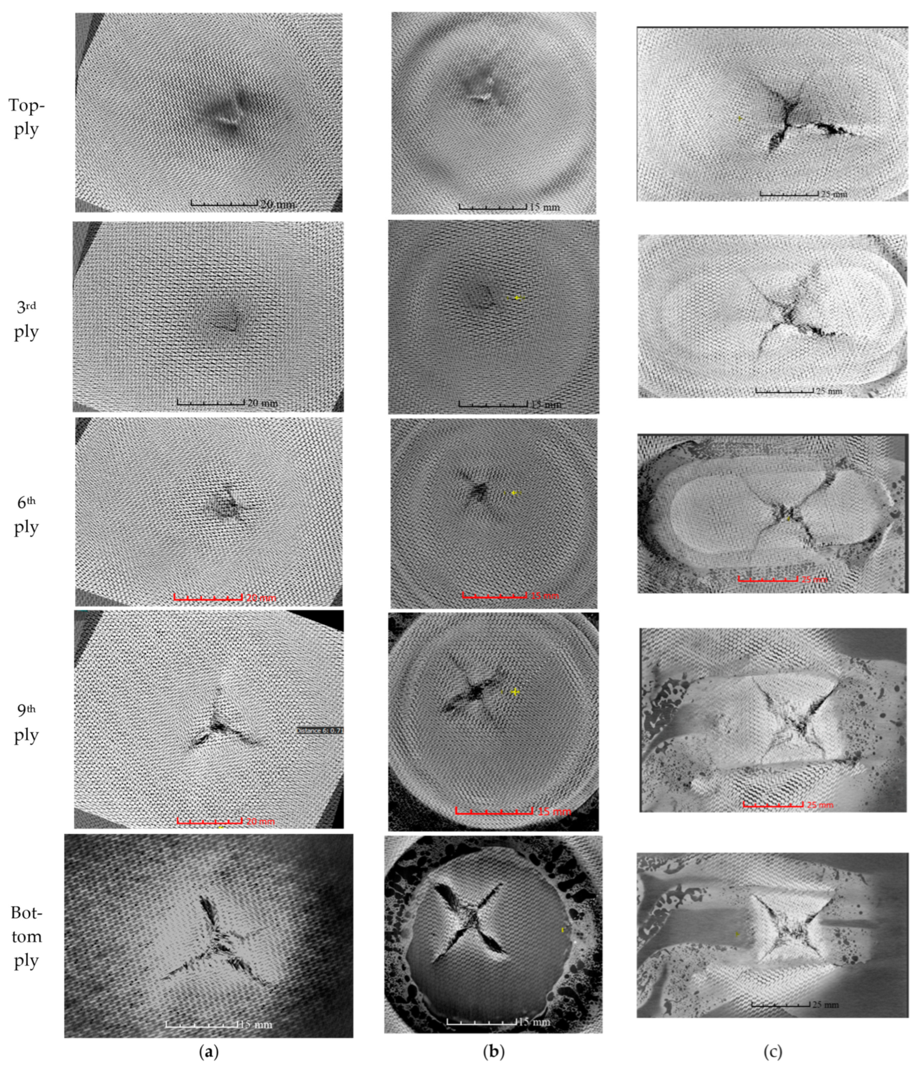 Polymers 15 02390 g008