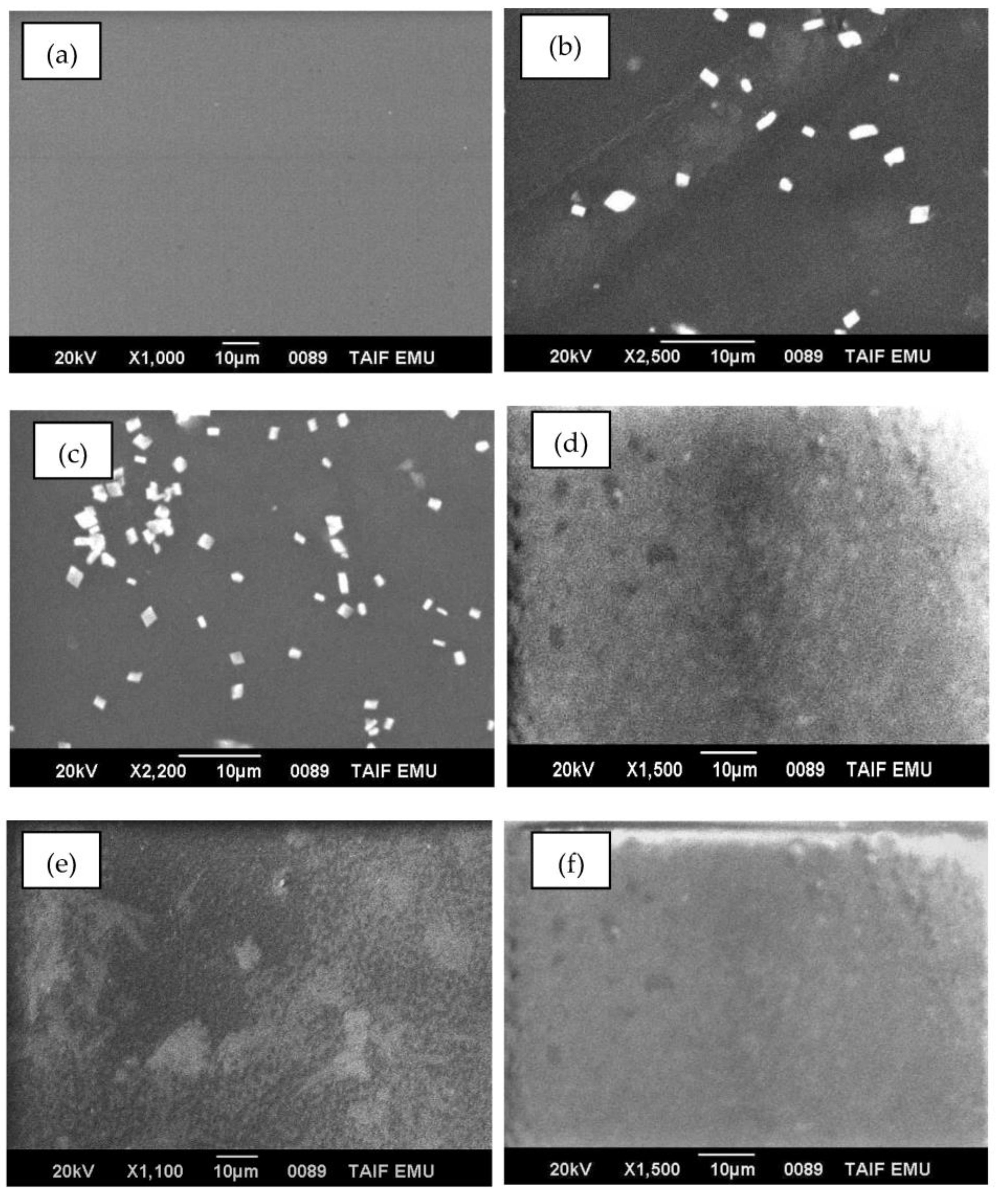 Polymers 15 02391 g001 Polymers 15 02391 g001