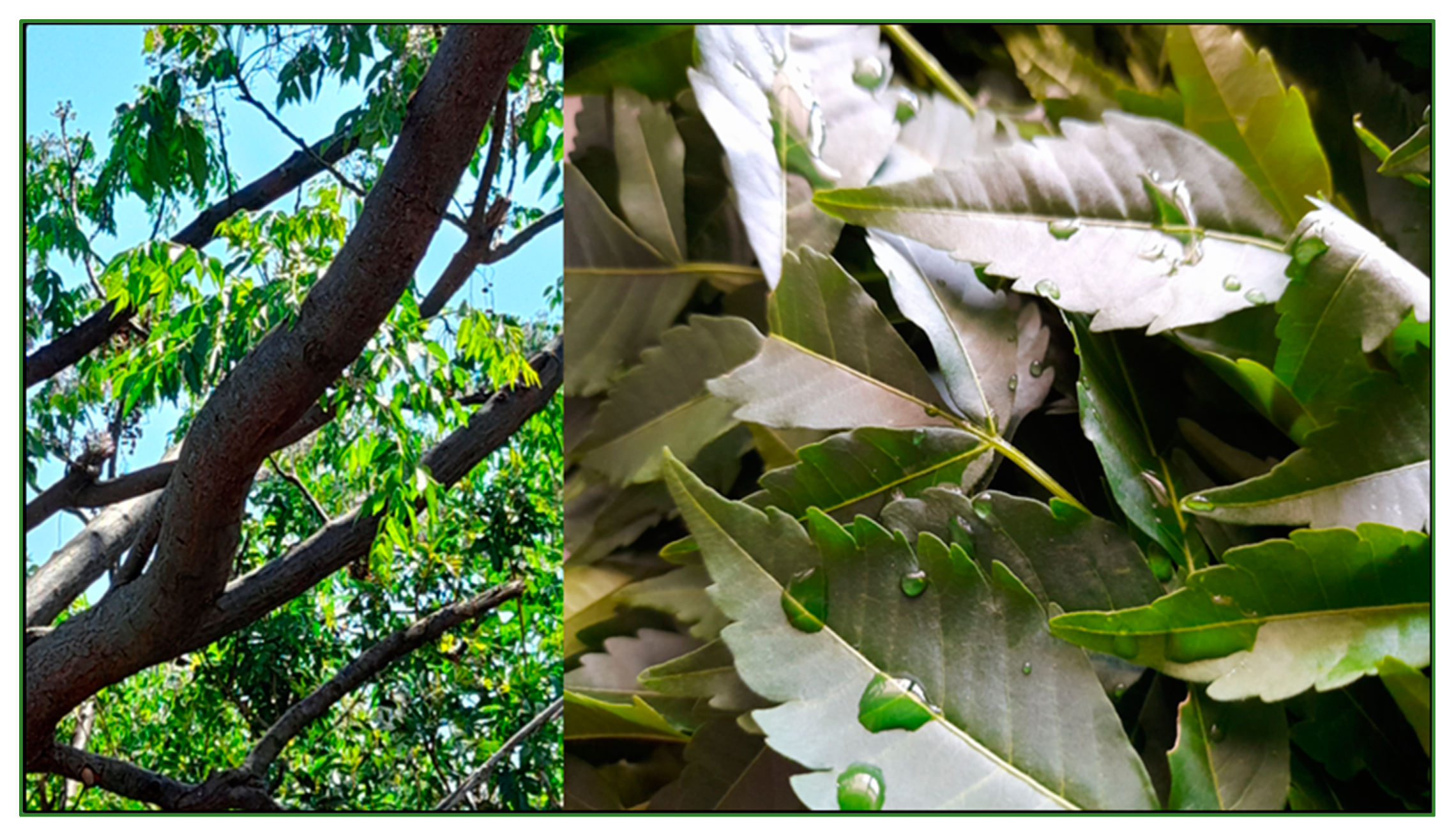 Polymers 15 02393 g001