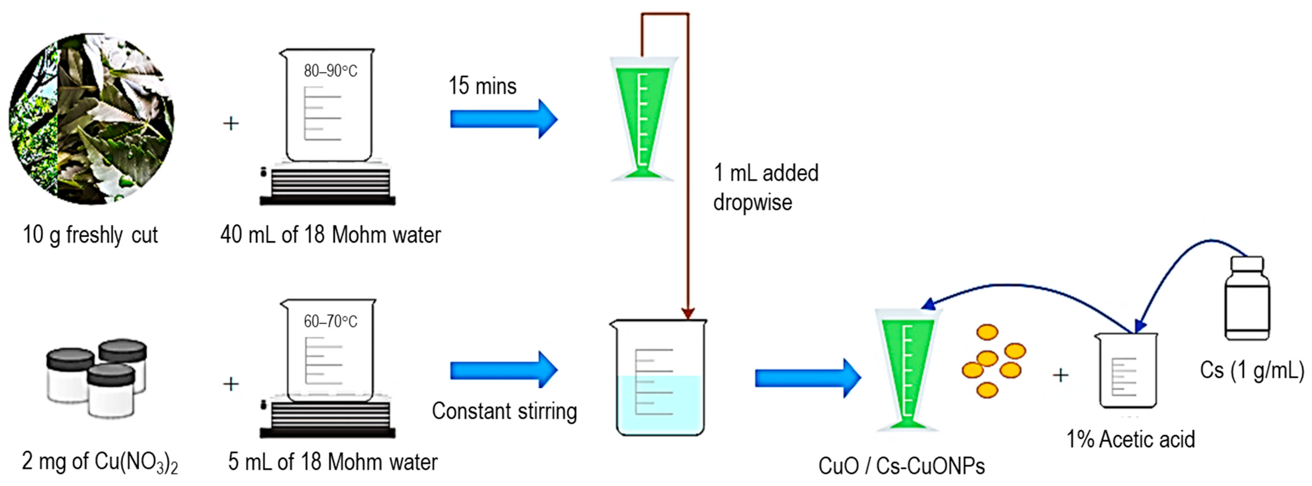Polymers 15 02393 g002