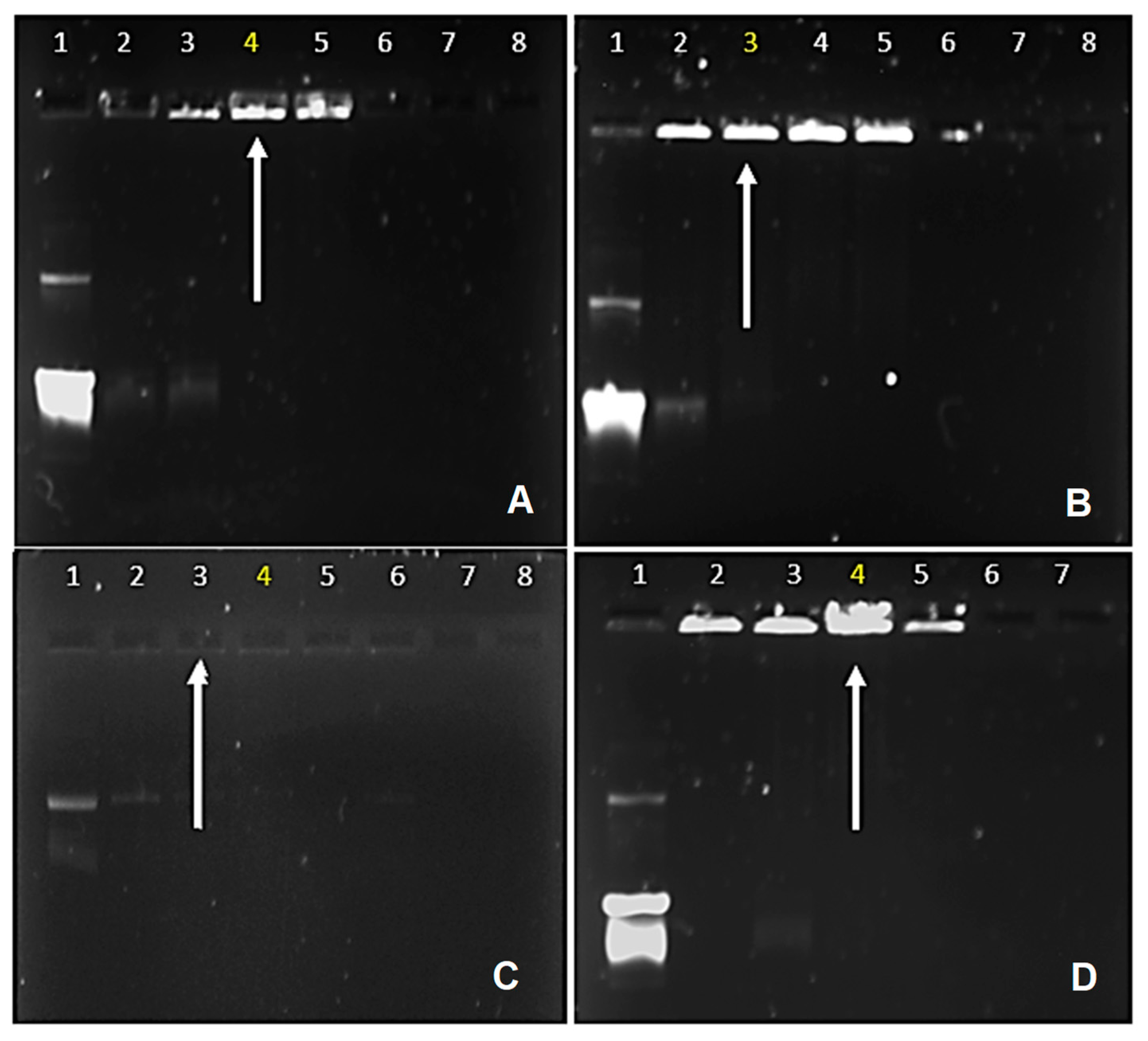 Polymers 15 02393 g006