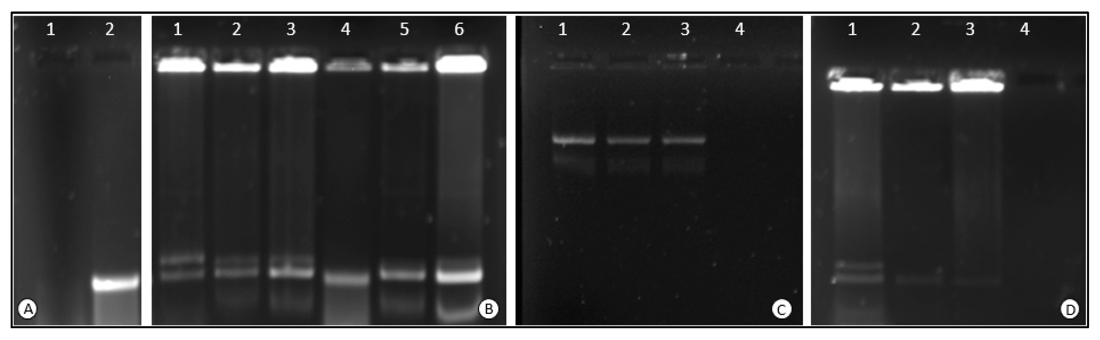Polymers 15 02393 g007