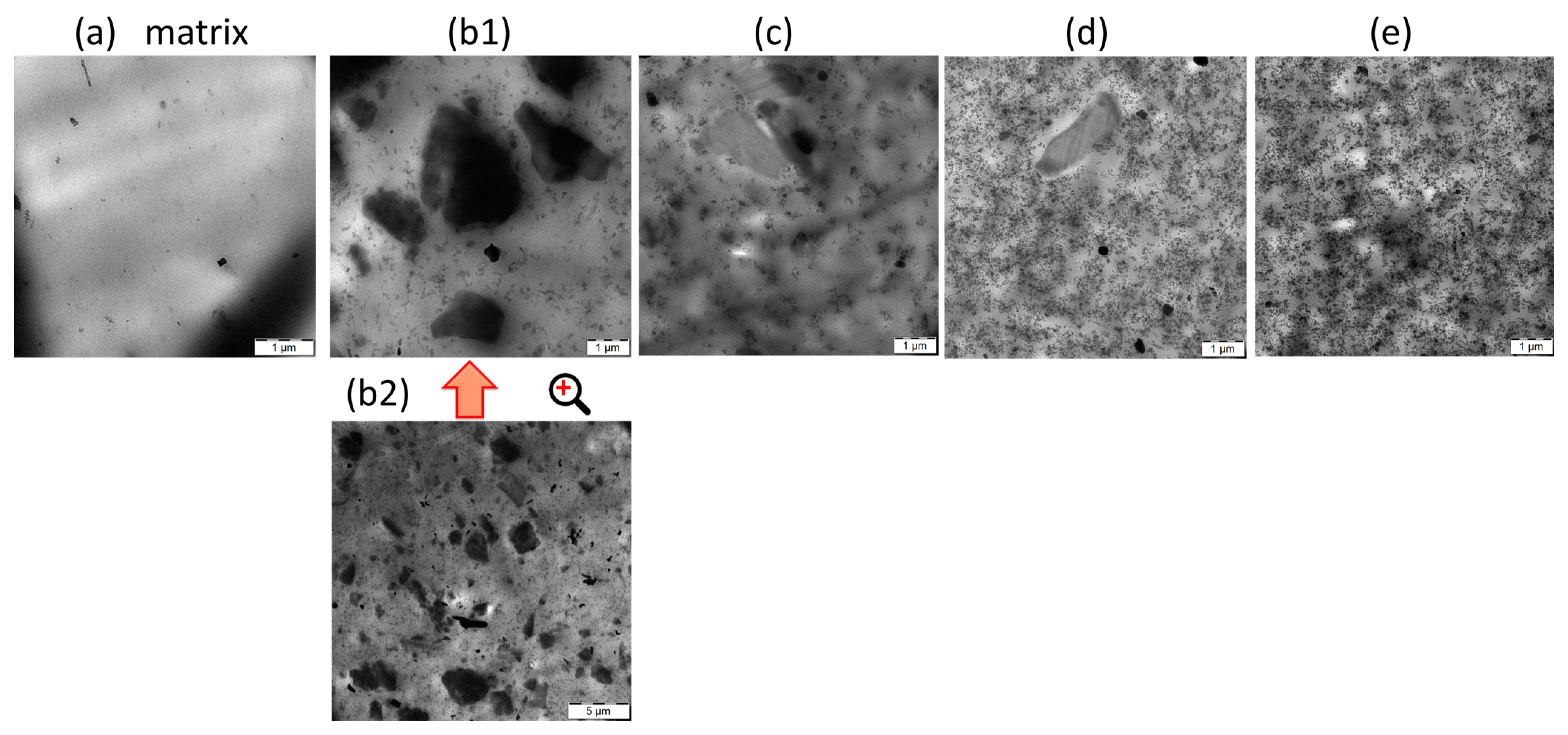 Polymers 15 02397 g001