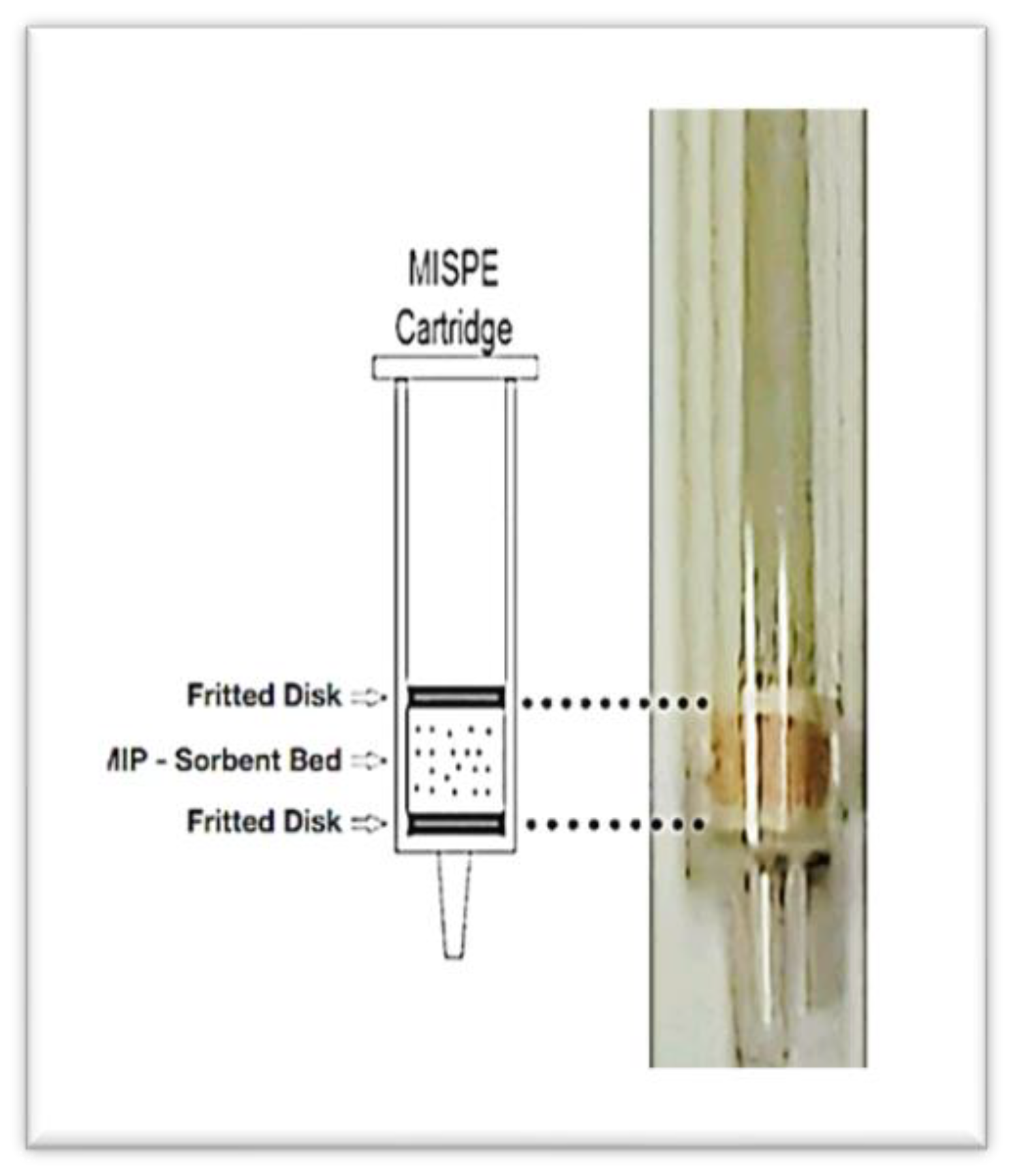 Polymers 15 02398 g005 Polymers 15 02398 g005