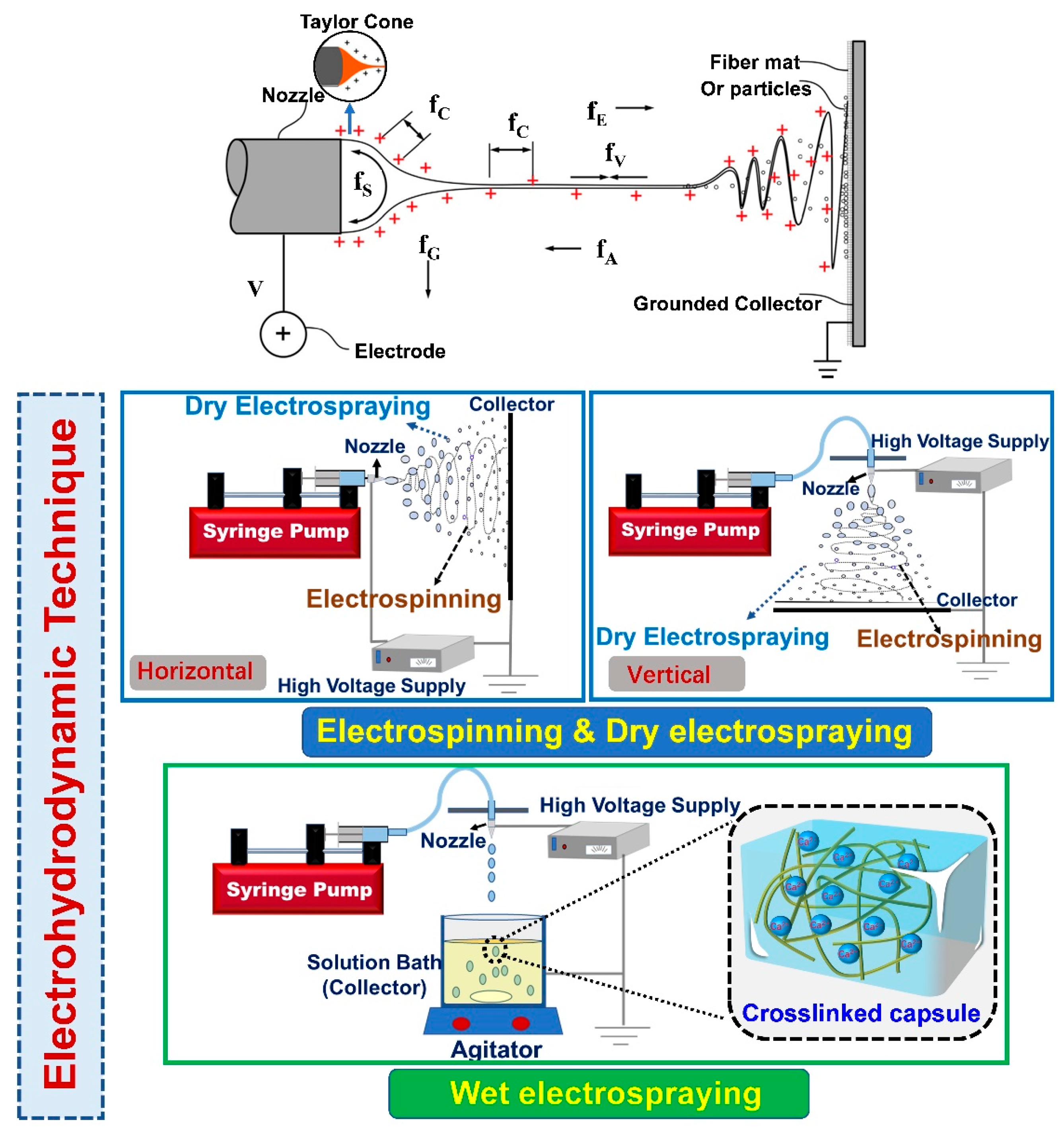 Polymers 15 02402 g001