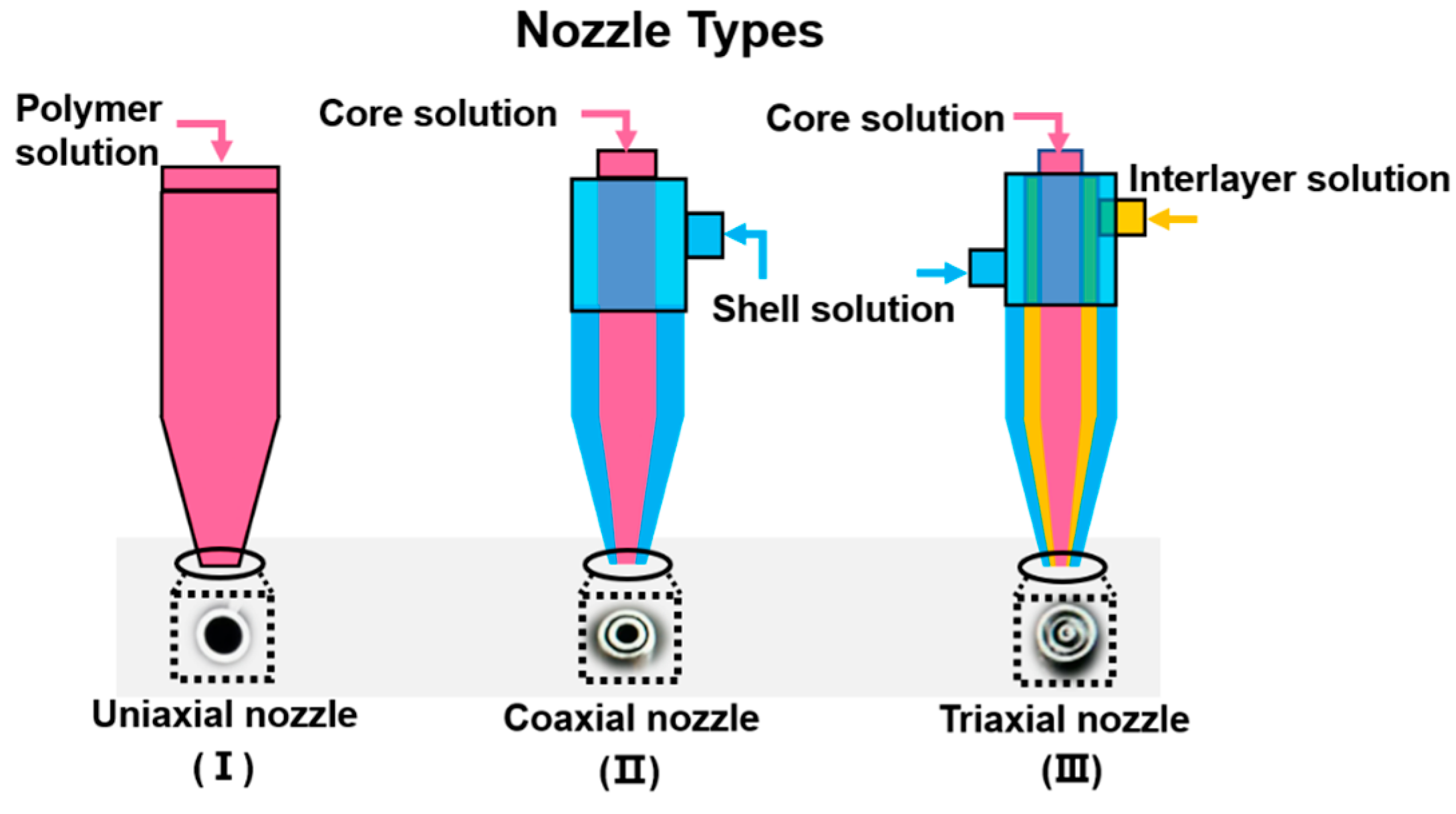 Polymers 15 02402 g002