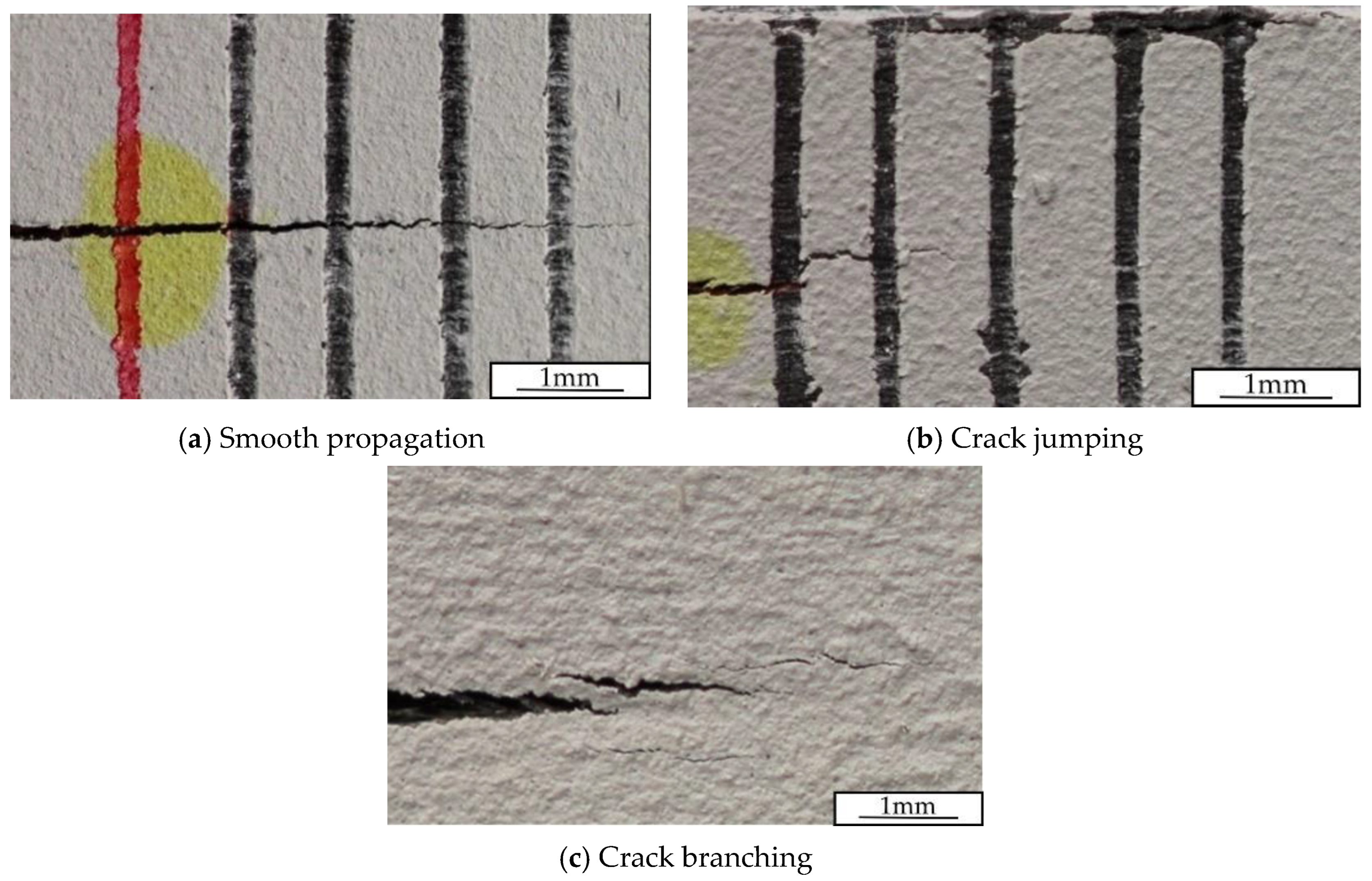 Polymers 15 02403 g009