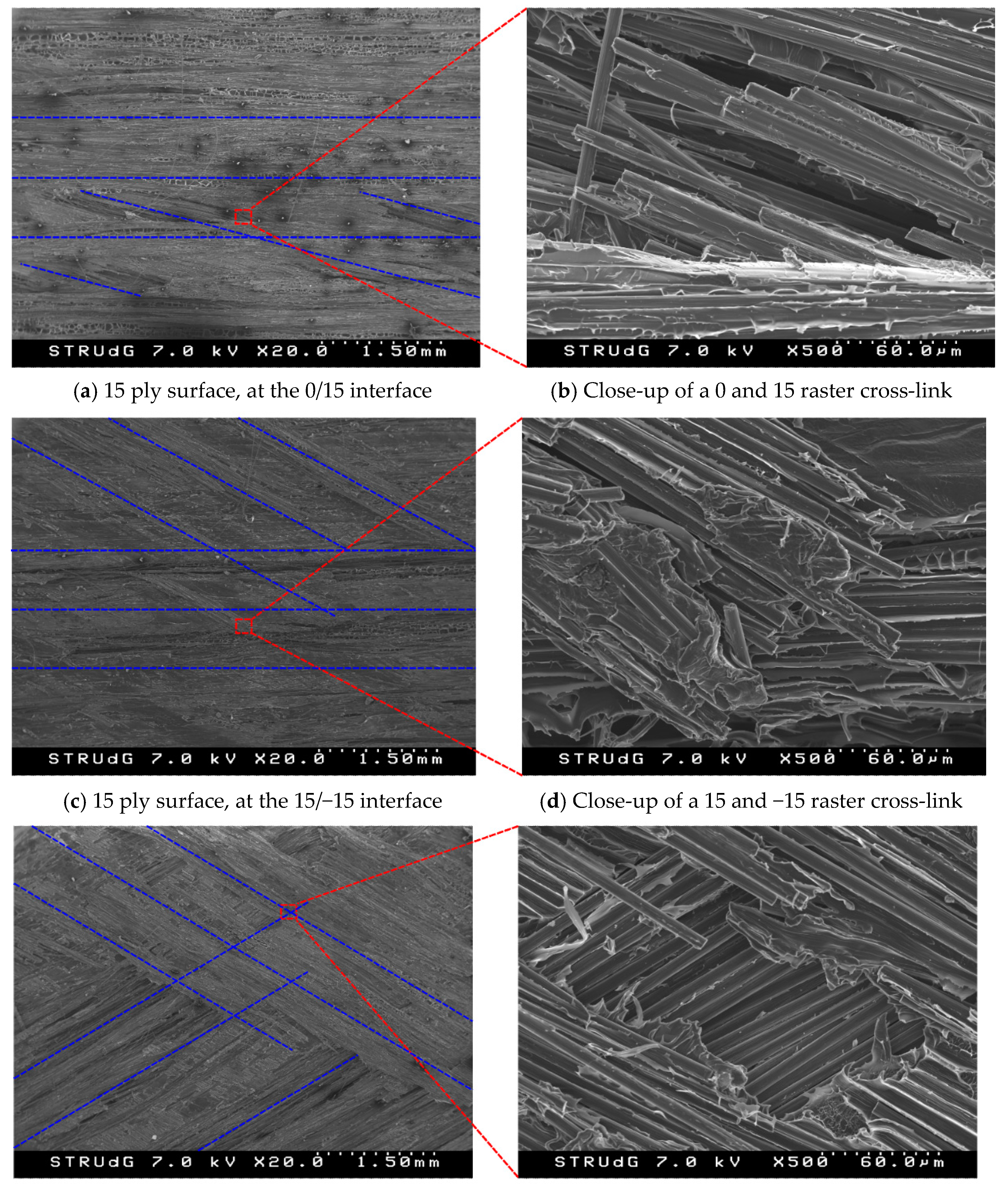 Polymers 15 02403 g012