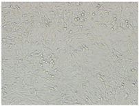 Polymers 15 02404 i006