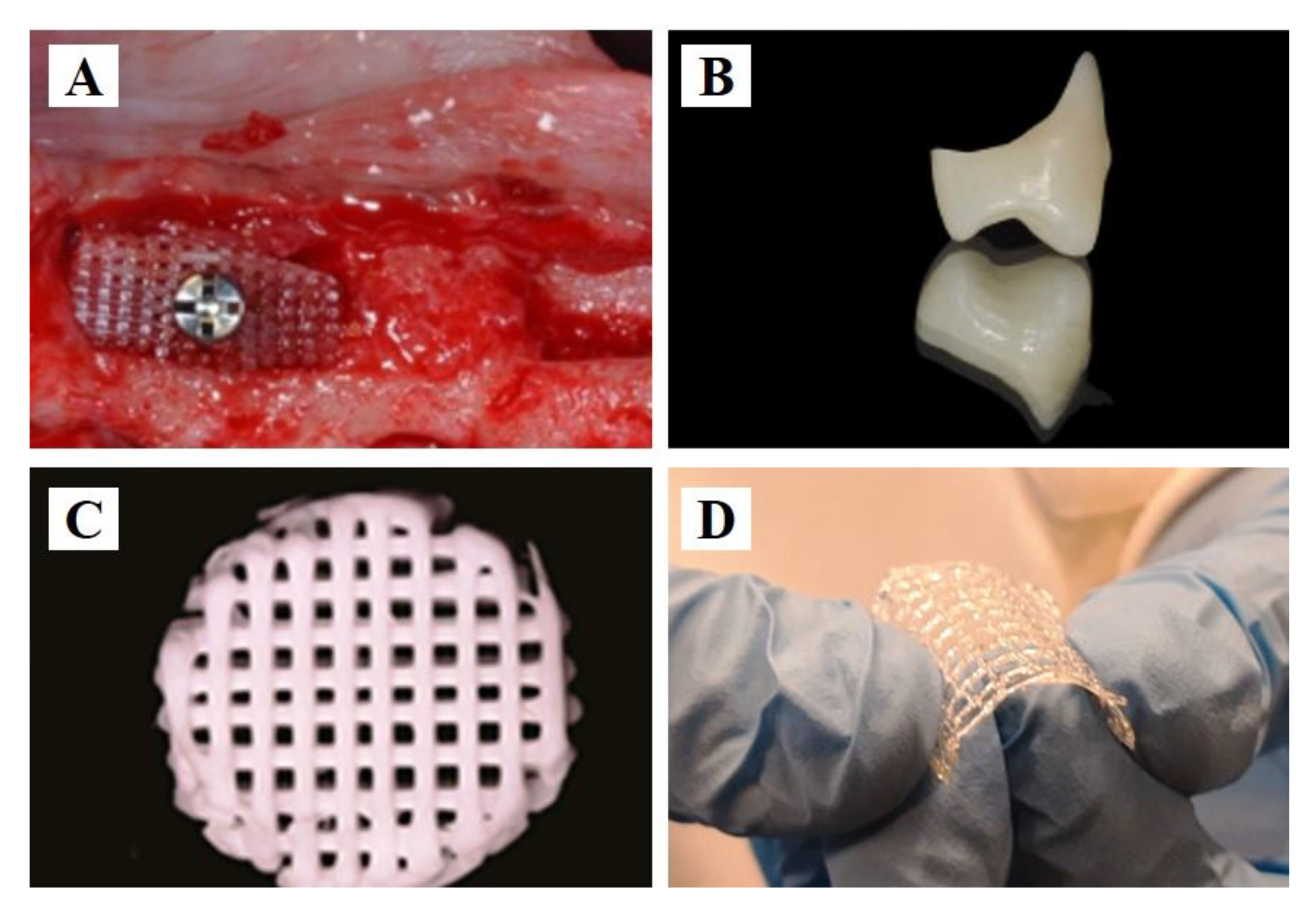 Polymers 15 02405 g001