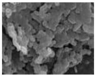 Polymers 15 02405 i001