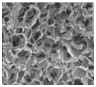 Polymers 15 02405 i004