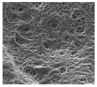 Polymers 15 02405 i005