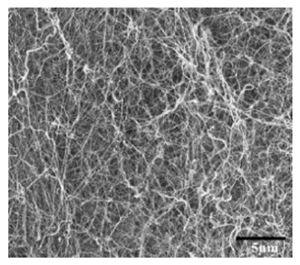 Polymers 15 02405 i006
