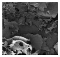 Polymers 15 02405 i016