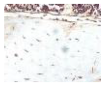 Polymers 15 02405 i018