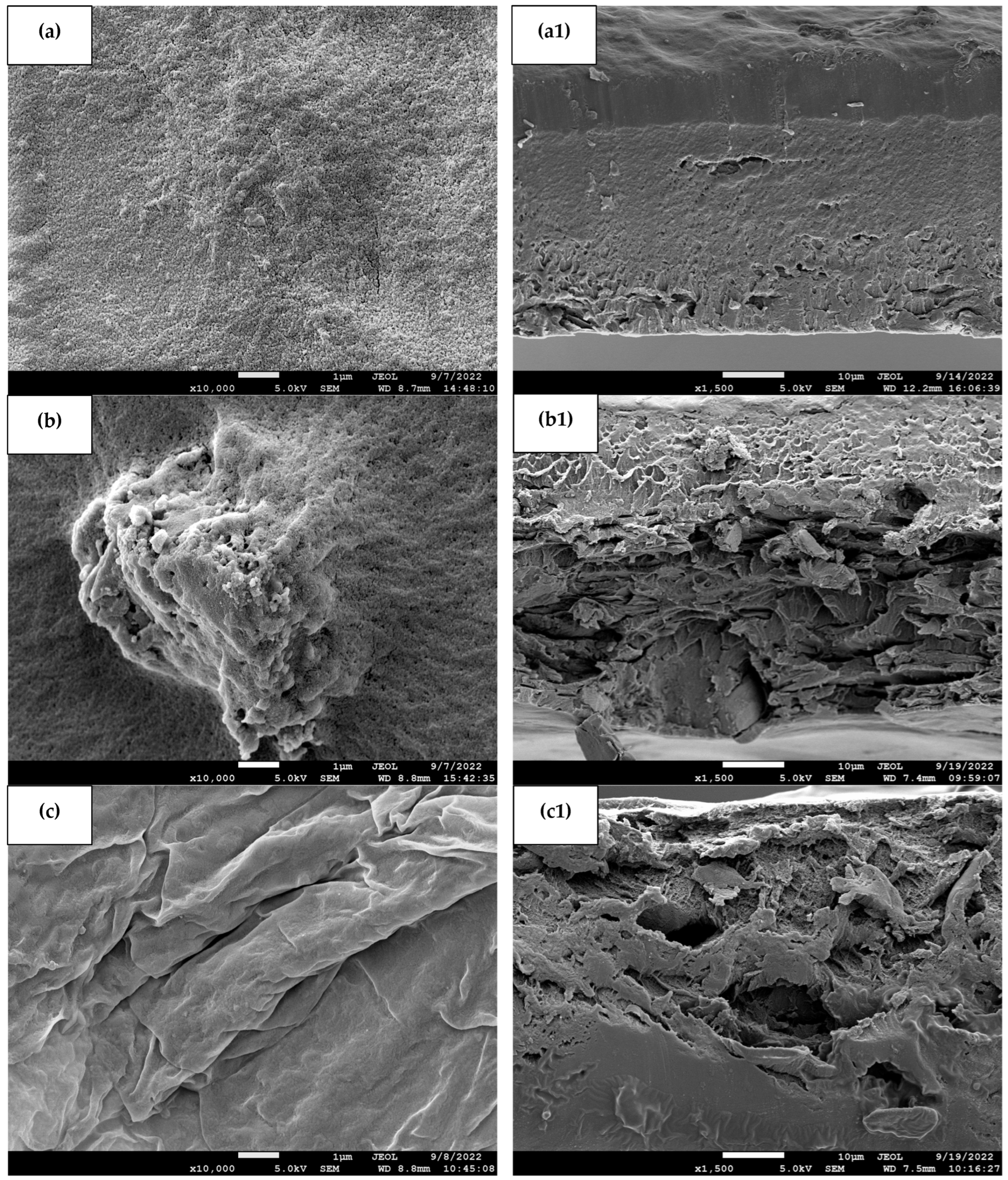 Polymers 15 02414 g002a