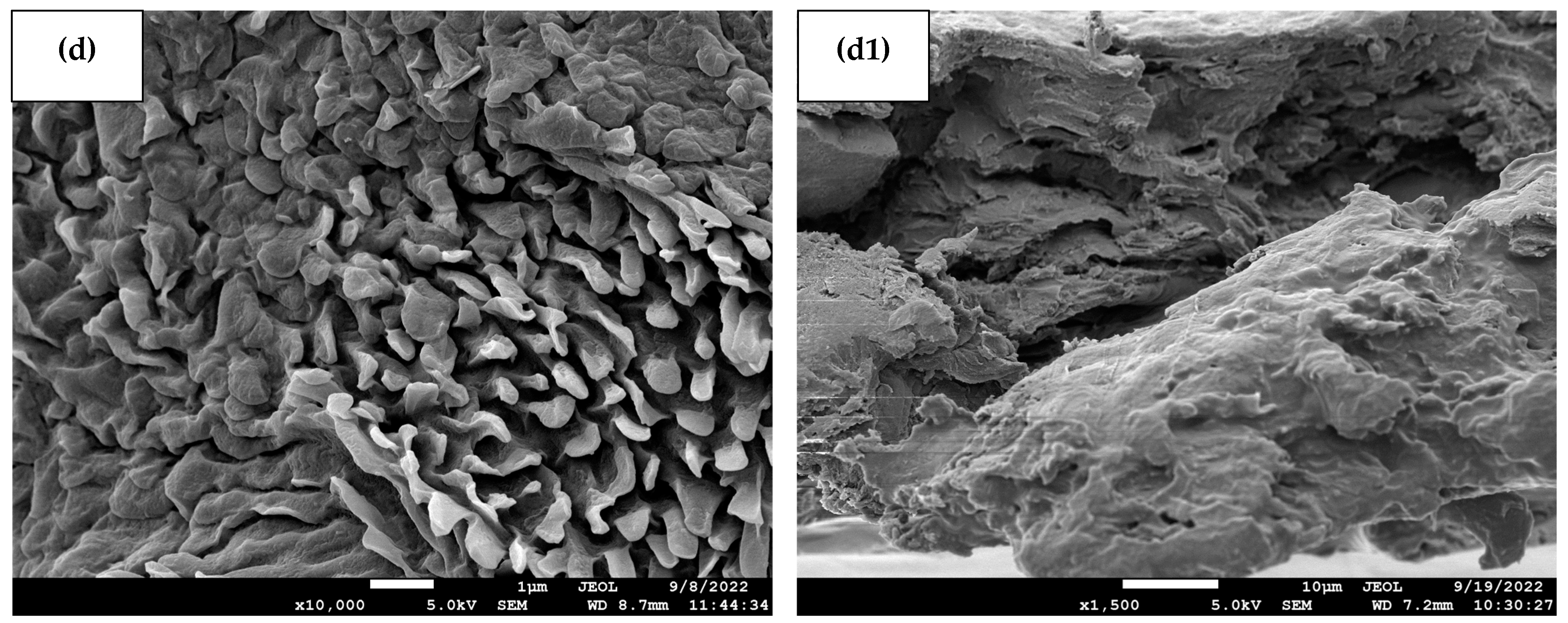Polymers 15 02414 g002b
