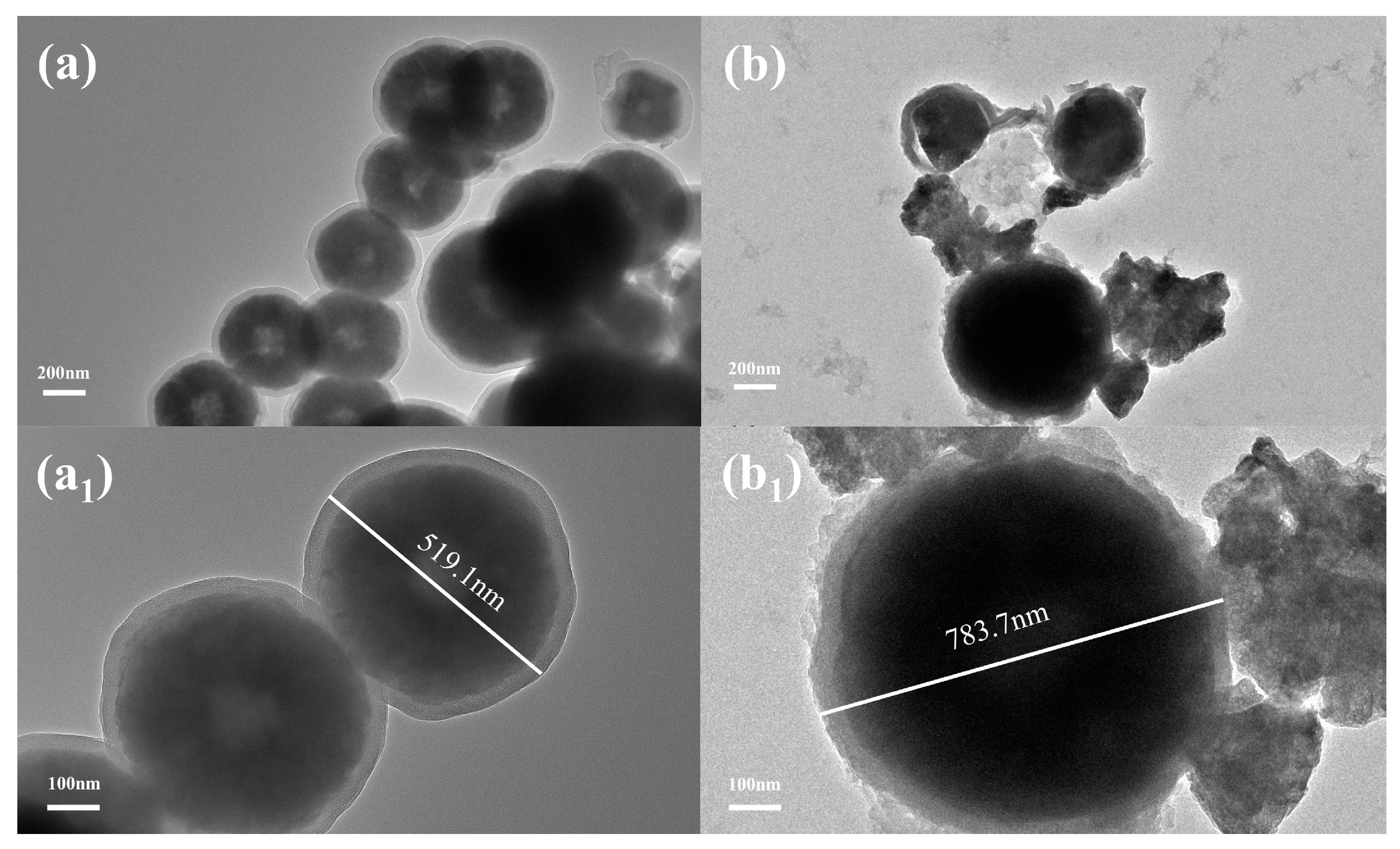 Polymers 15 02416 g002