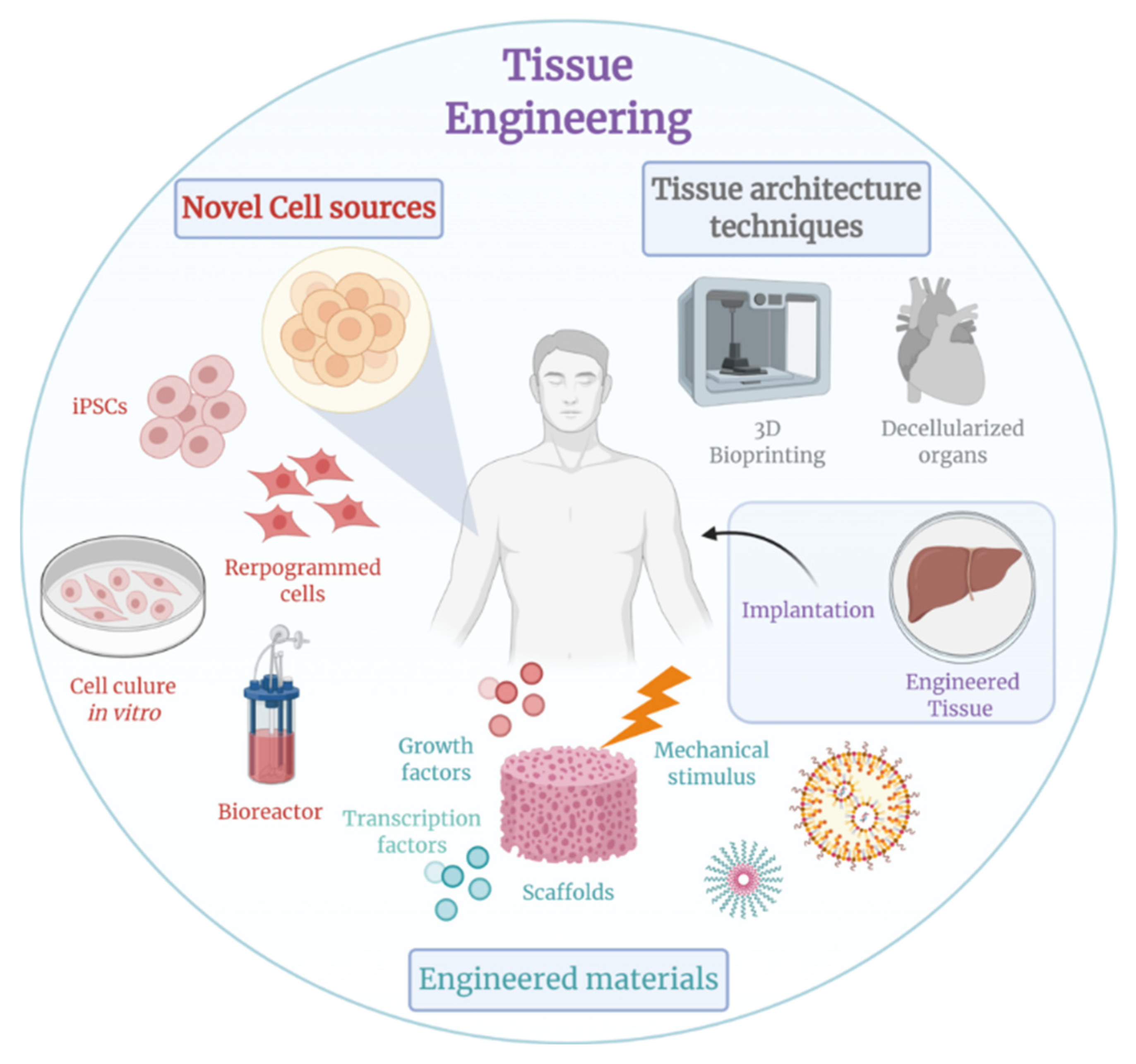 Polymers 15 02418 g001 Polymers 15 02418 g001