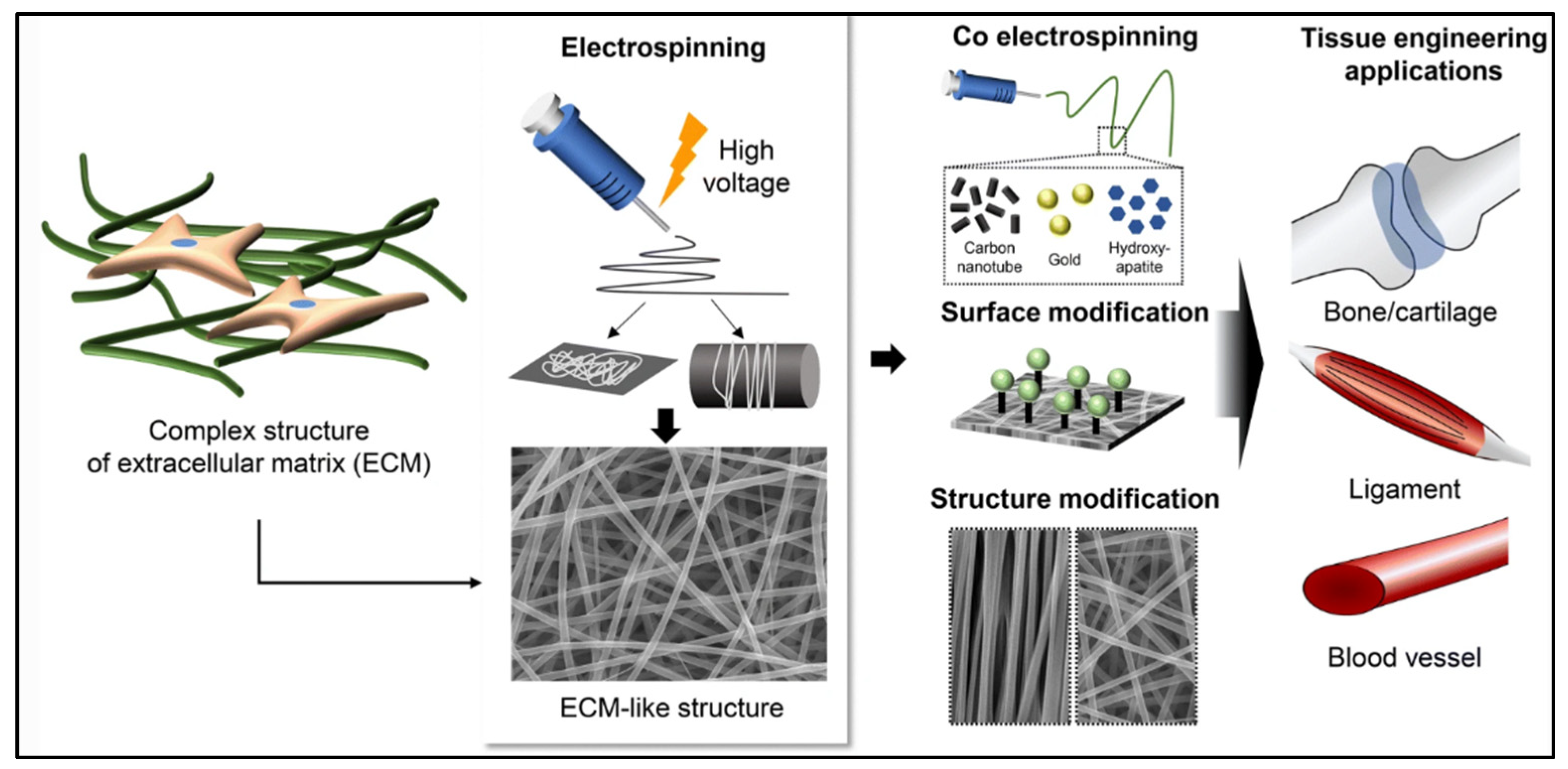 Polymers 15 02418 g004 Polymers 15 02418 g004