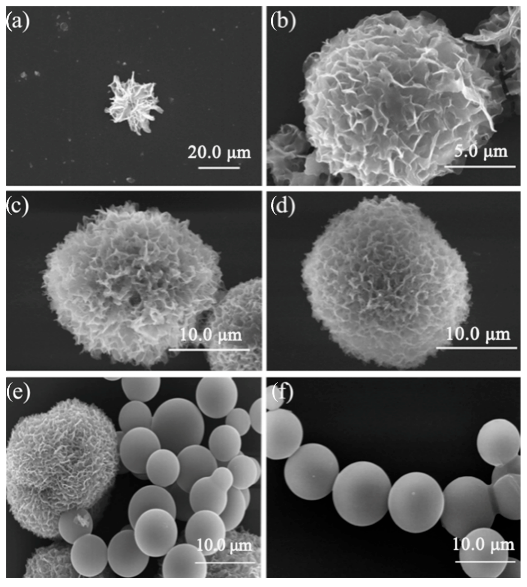 Polymers 15 02423 g002