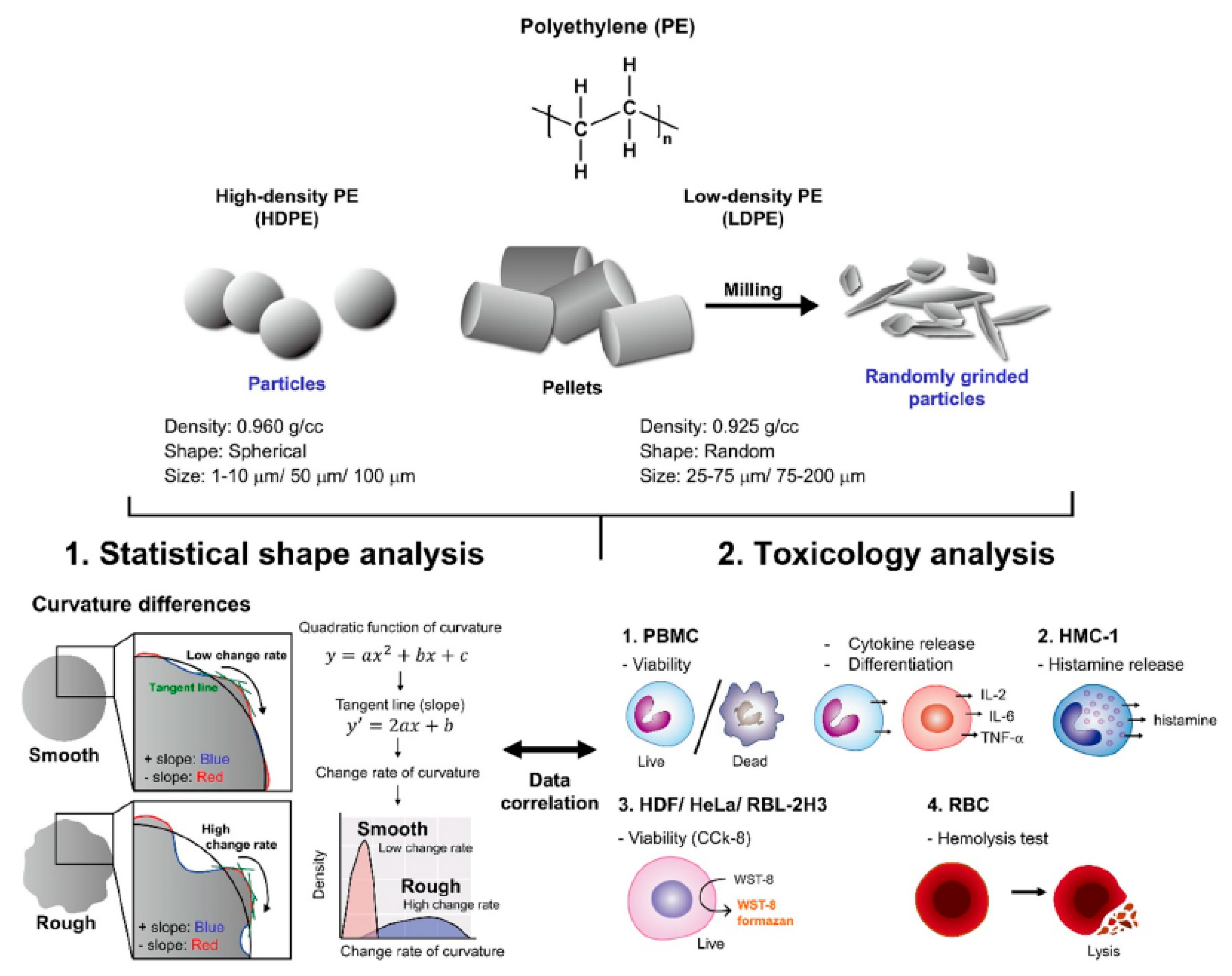 Polymers 15 02425 g005