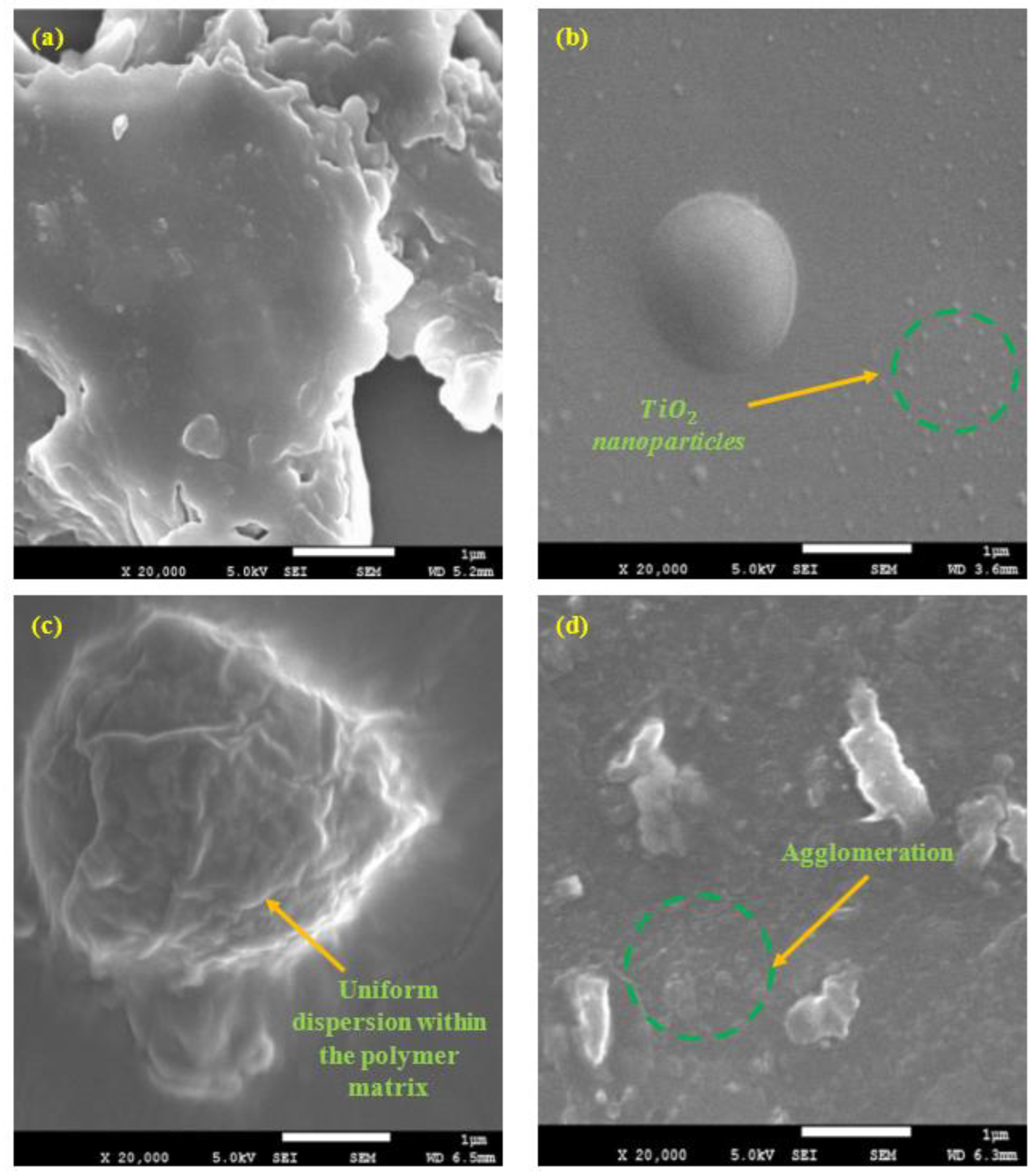 Polymers 15 02428 g017a Polymers 15 02428 g017a