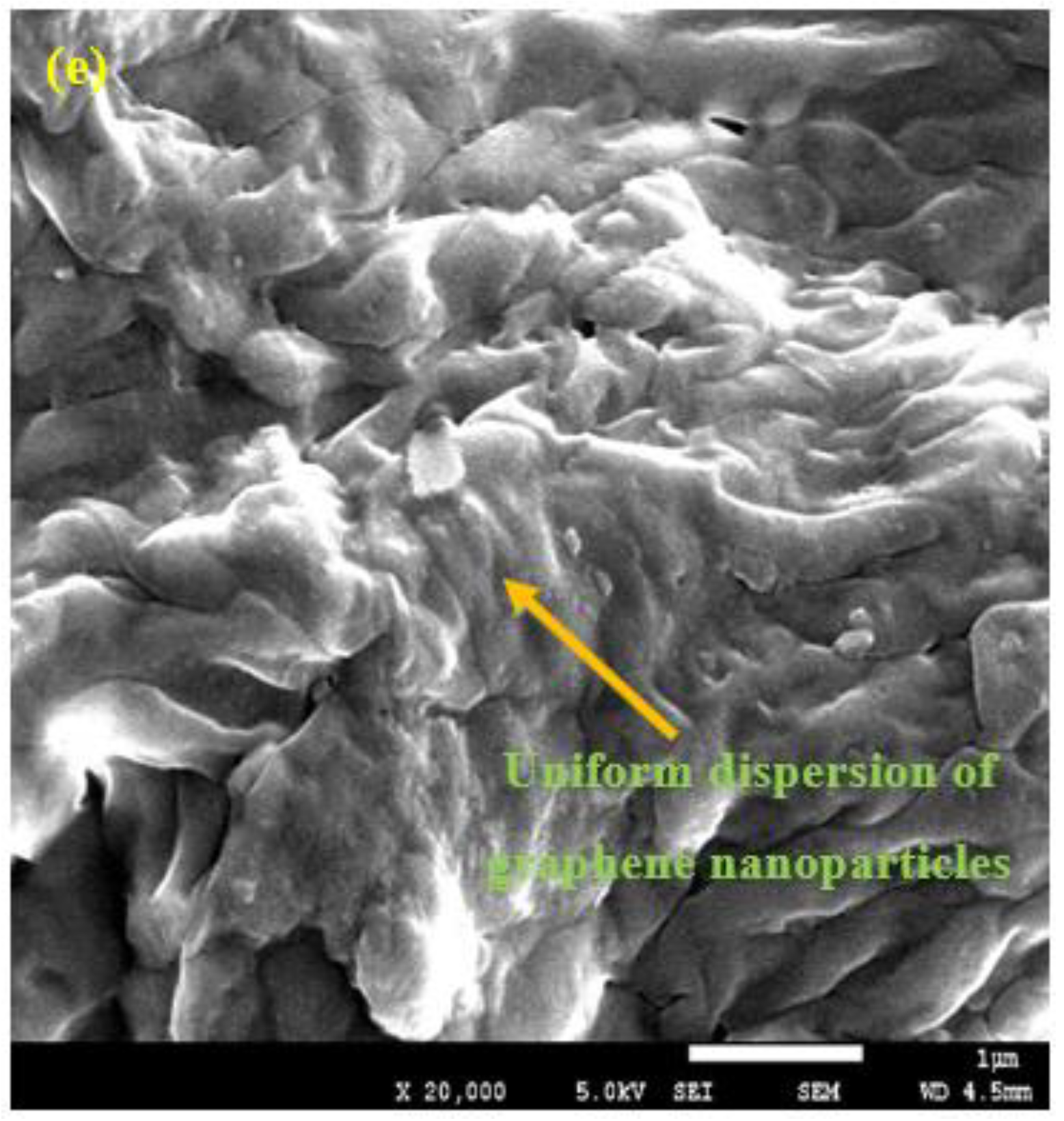 Polymers 15 02428 g017b Polymers 15 02428 g017b
