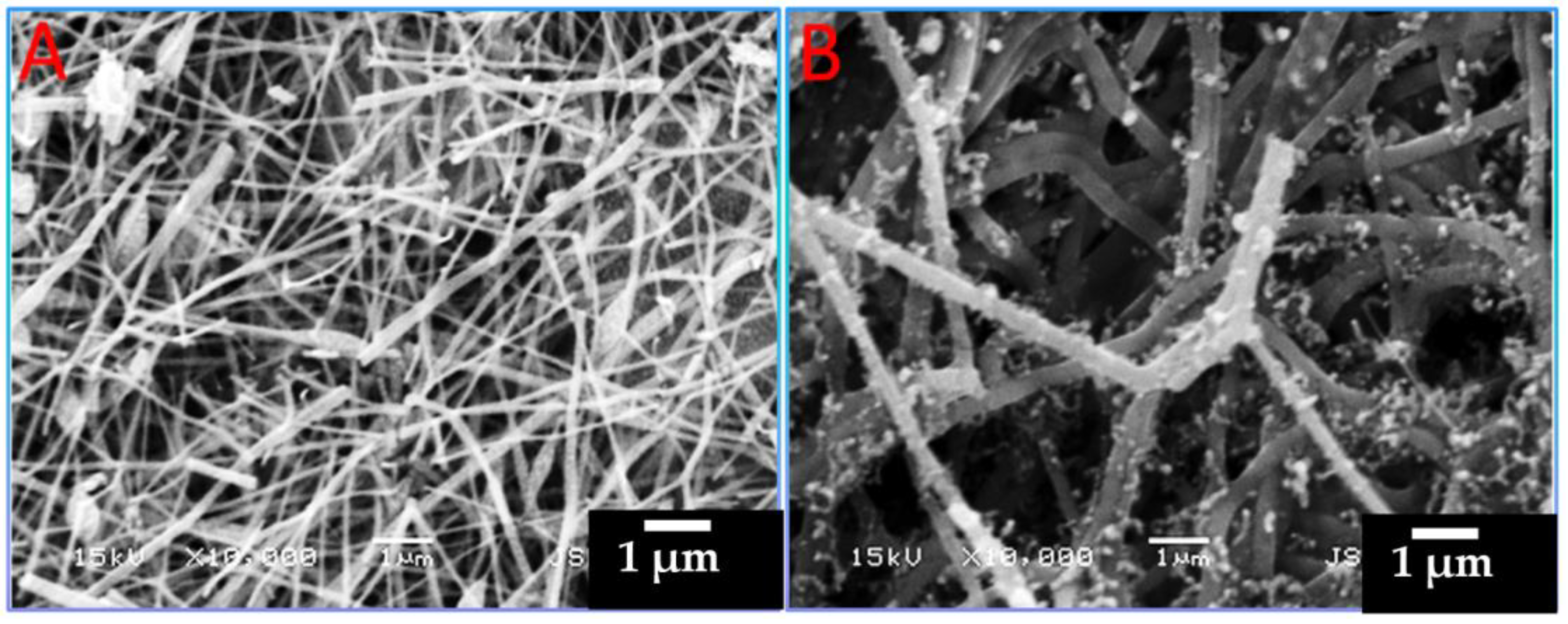 Polymers 15 02430 g002 Polymers 15 02430 g002