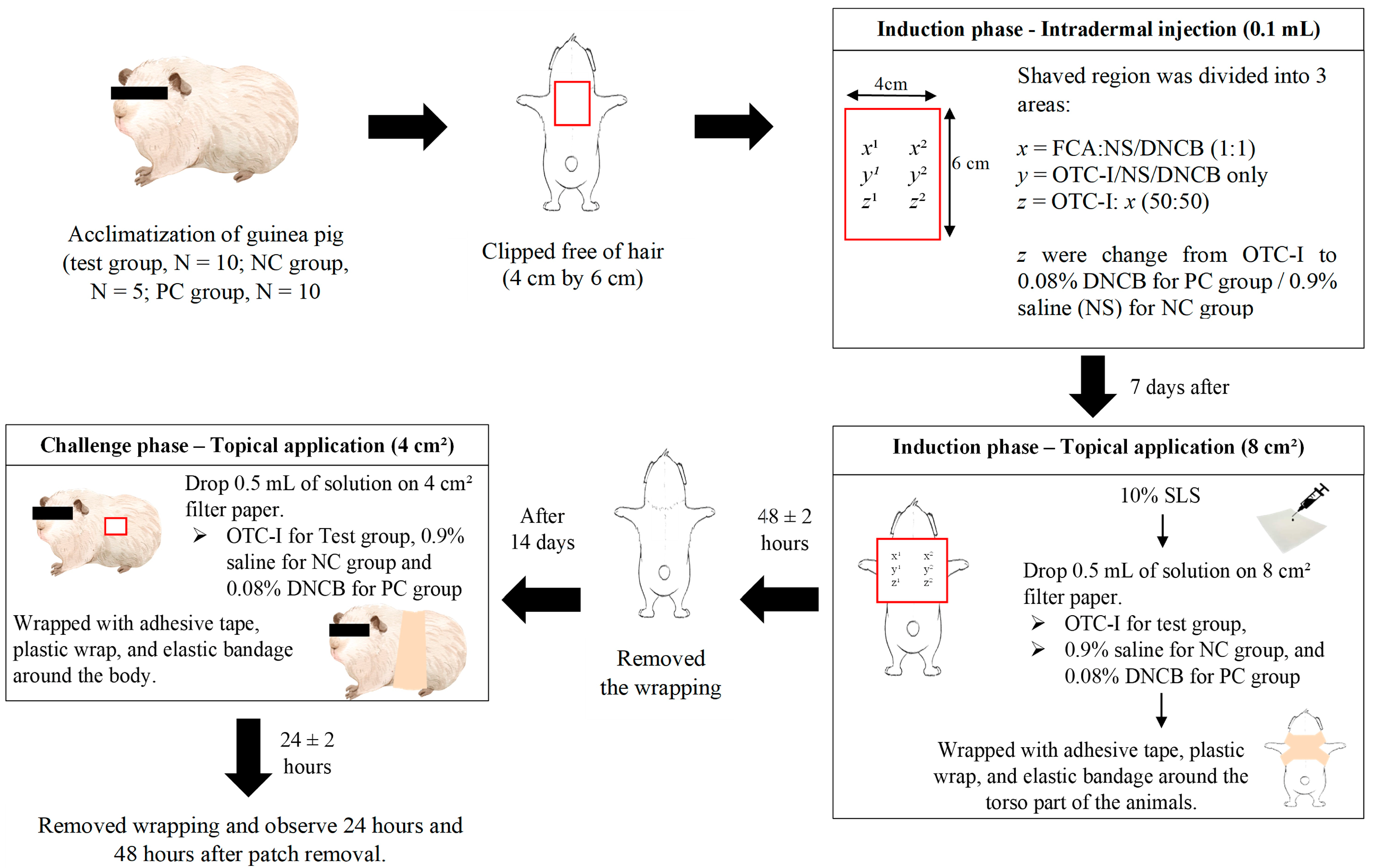 Polymers 15 02436 g001