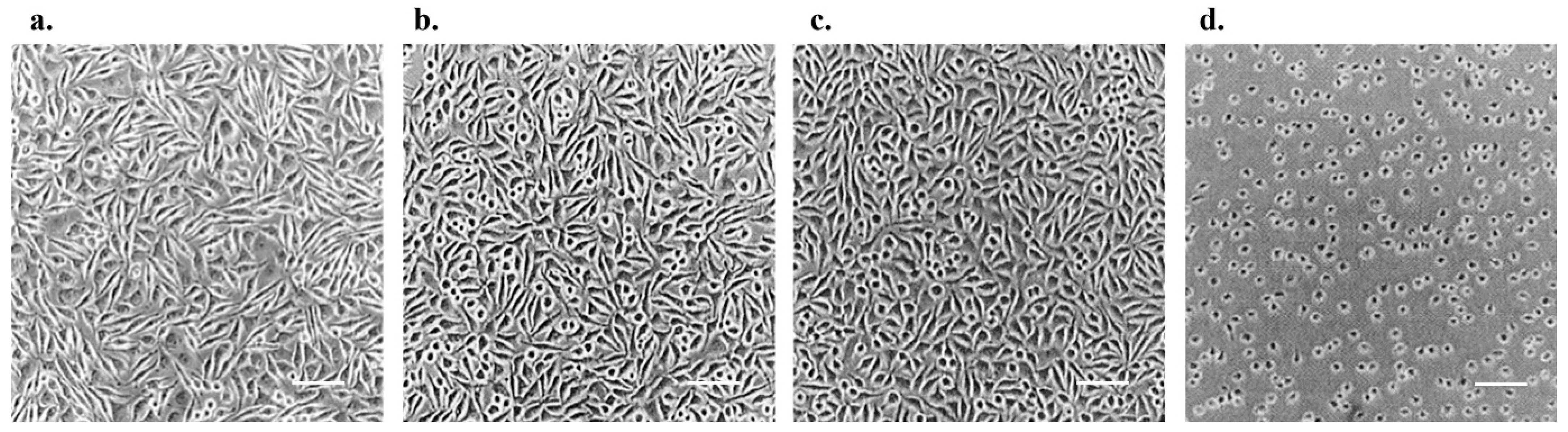 Polymers 15 02436 g004