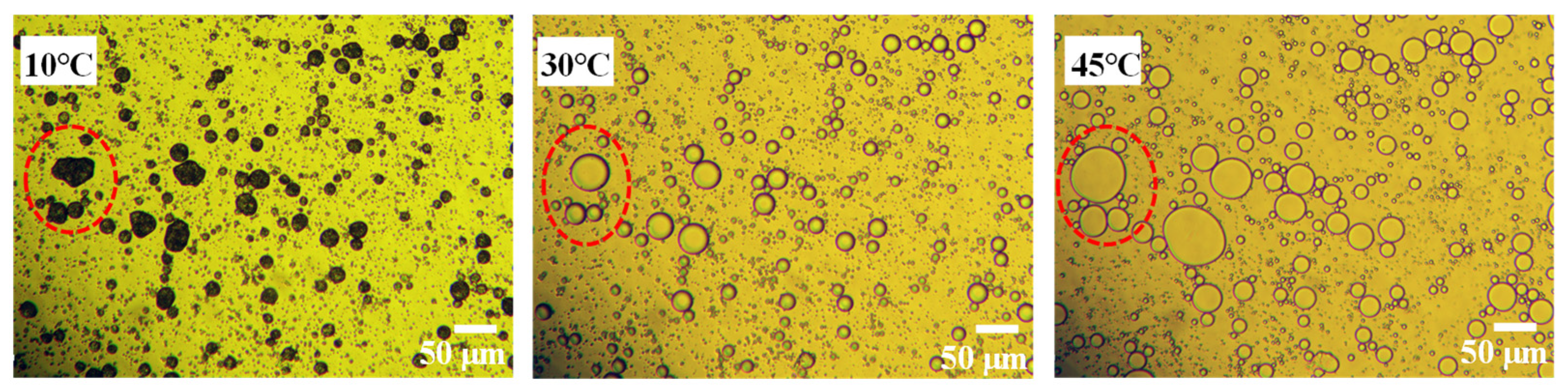 Polymers 15 02441 g003