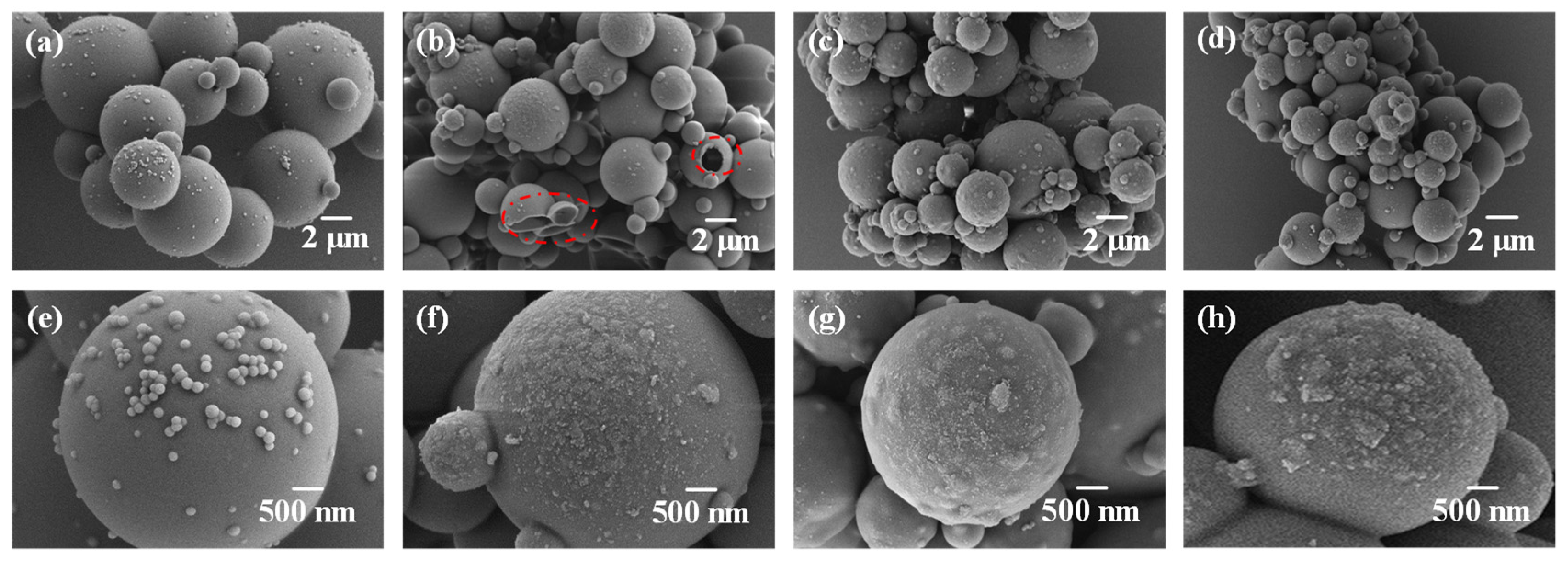 Polymers 15 02441 g005