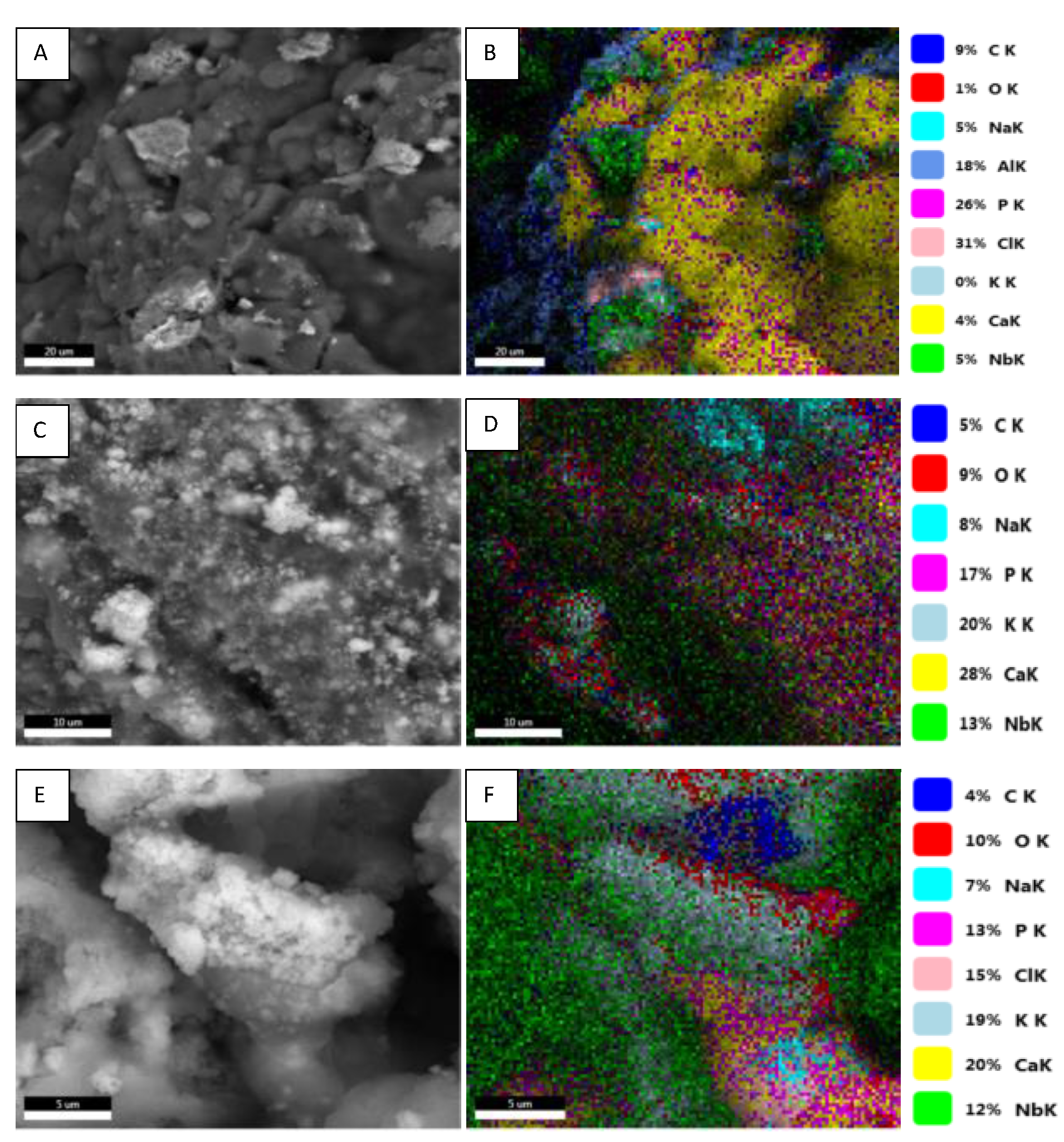 Polymers 15 02446 g006