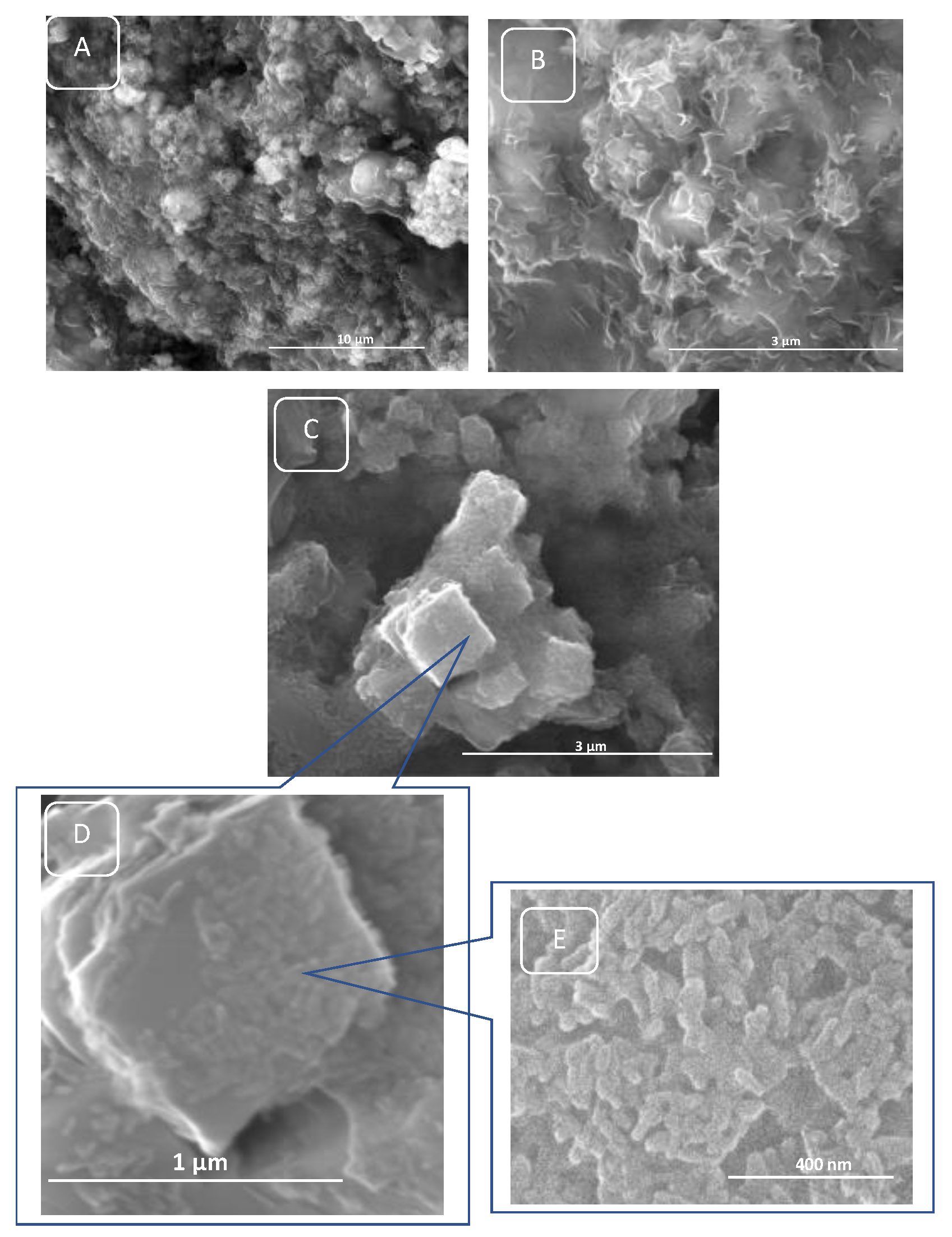 Polymers 15 02446 g007