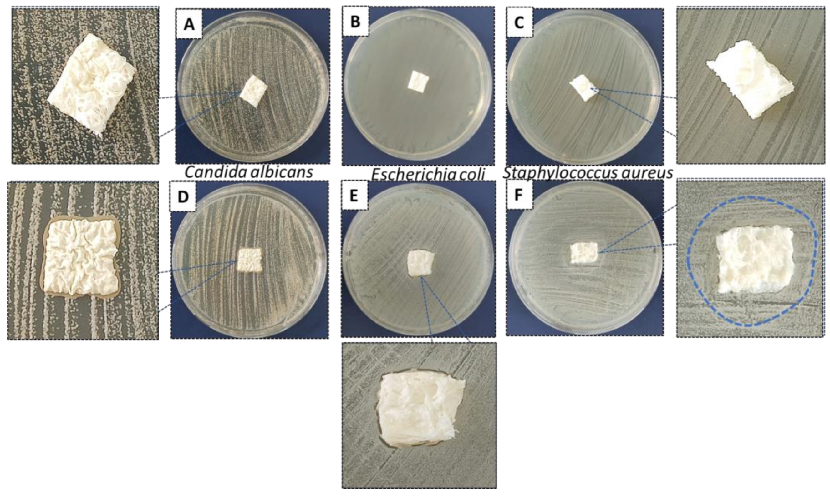 Polymers 15 02446 g015