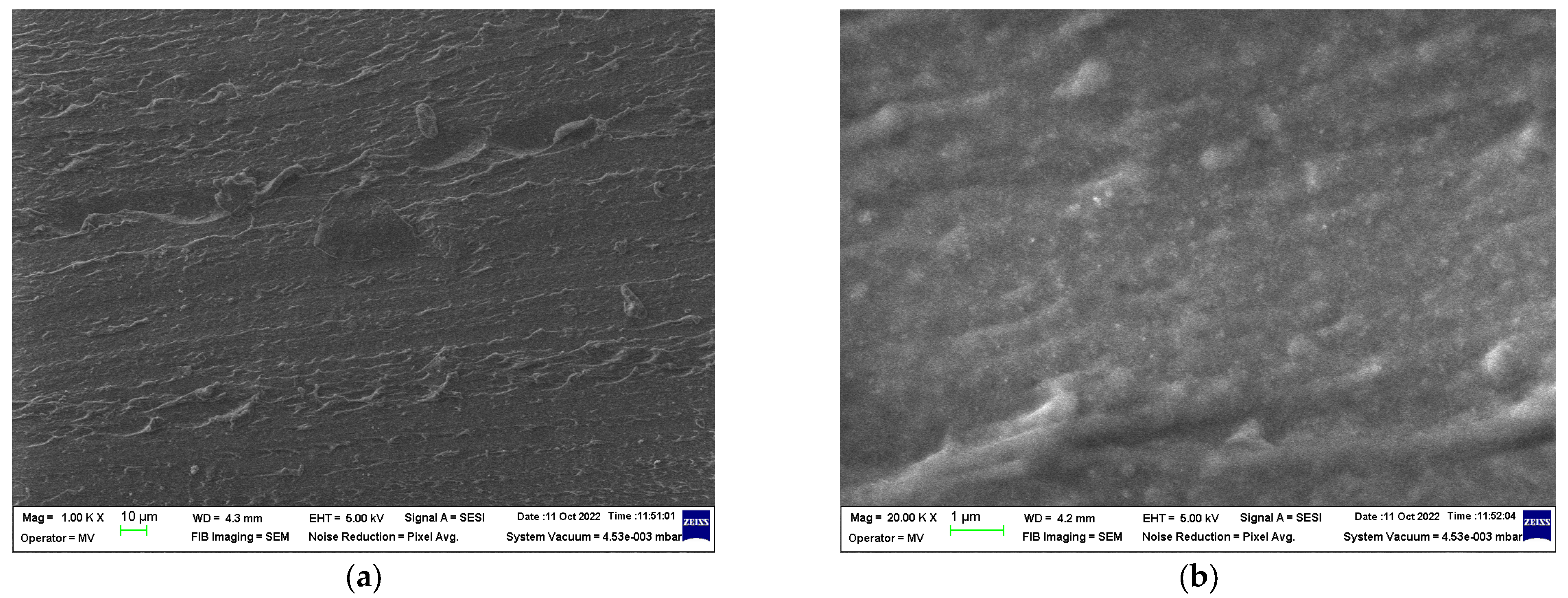 Polymers 15 02447 g005