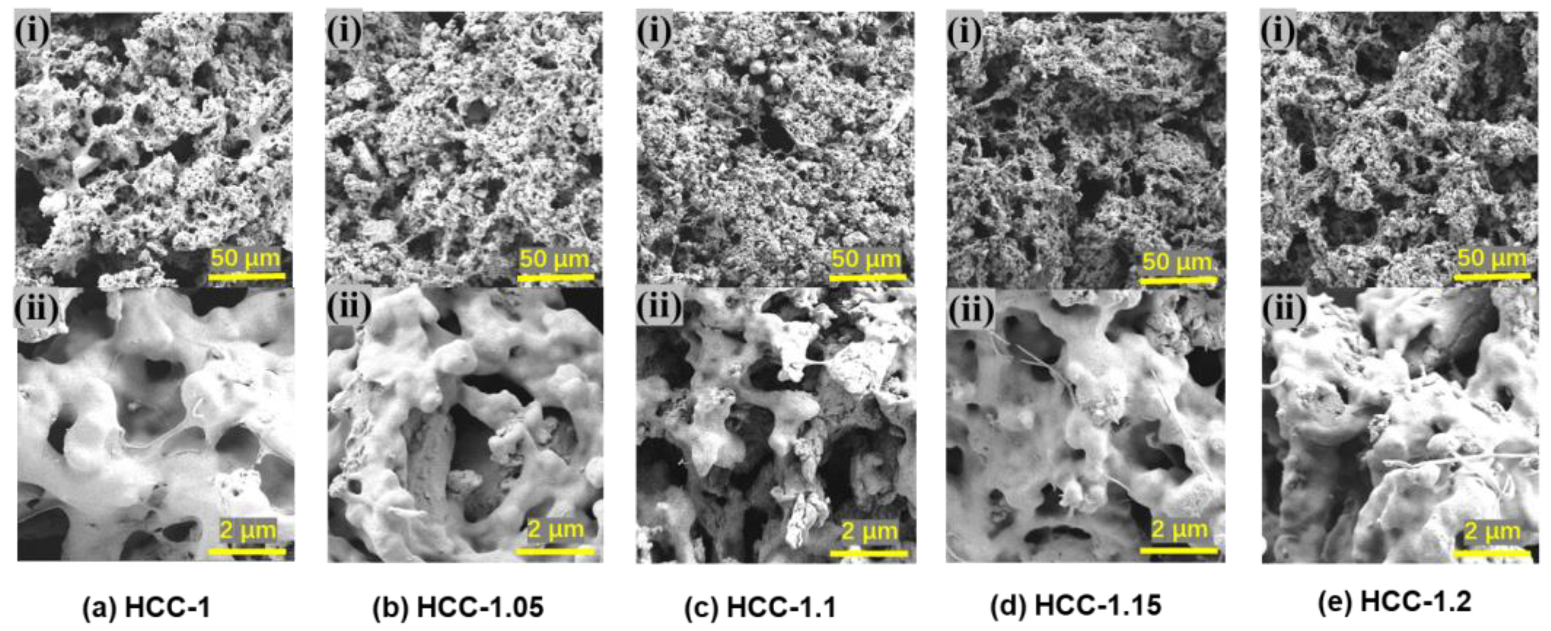 Polymers 15 02449 g003