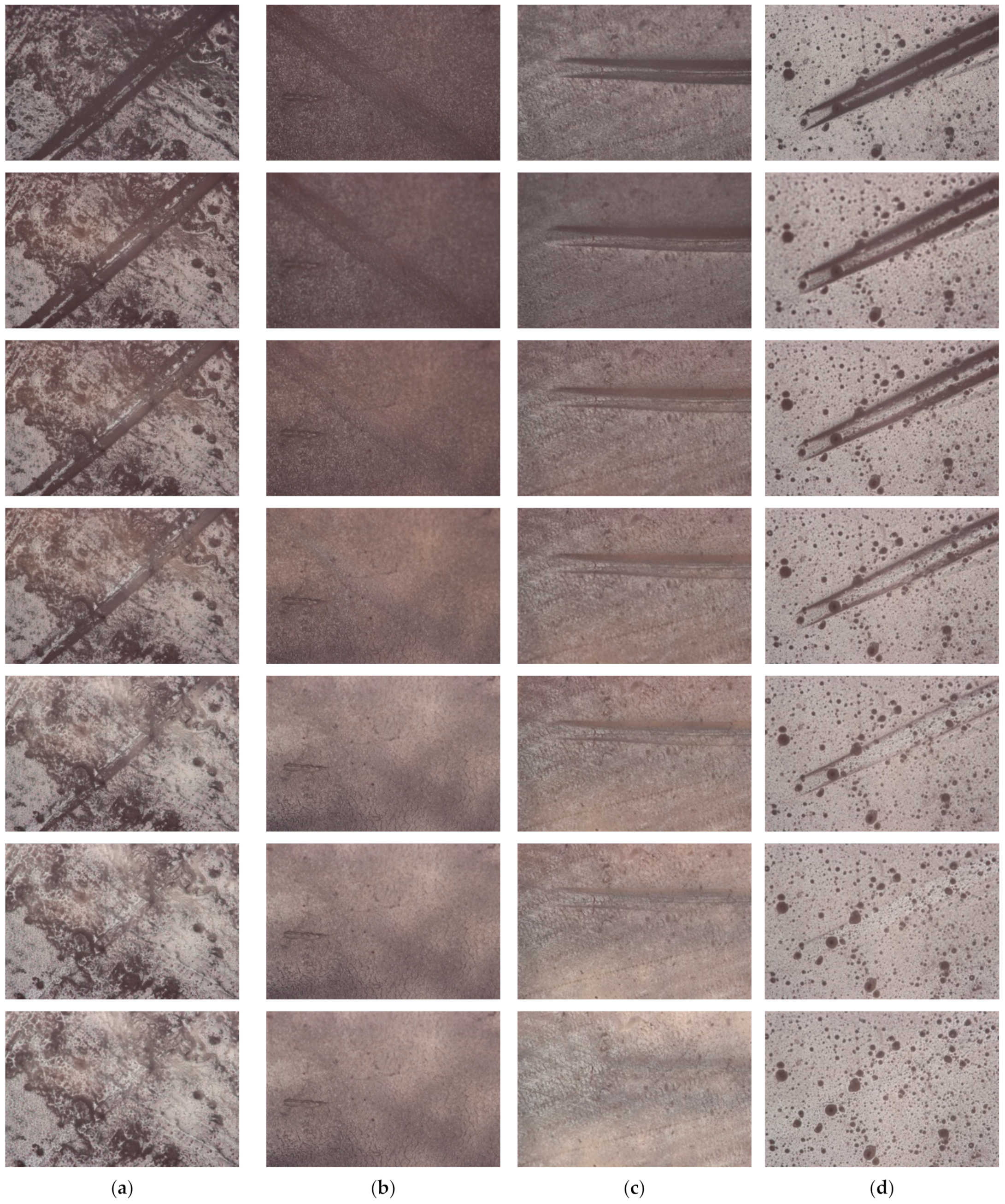 Polymers 15 02450 g009