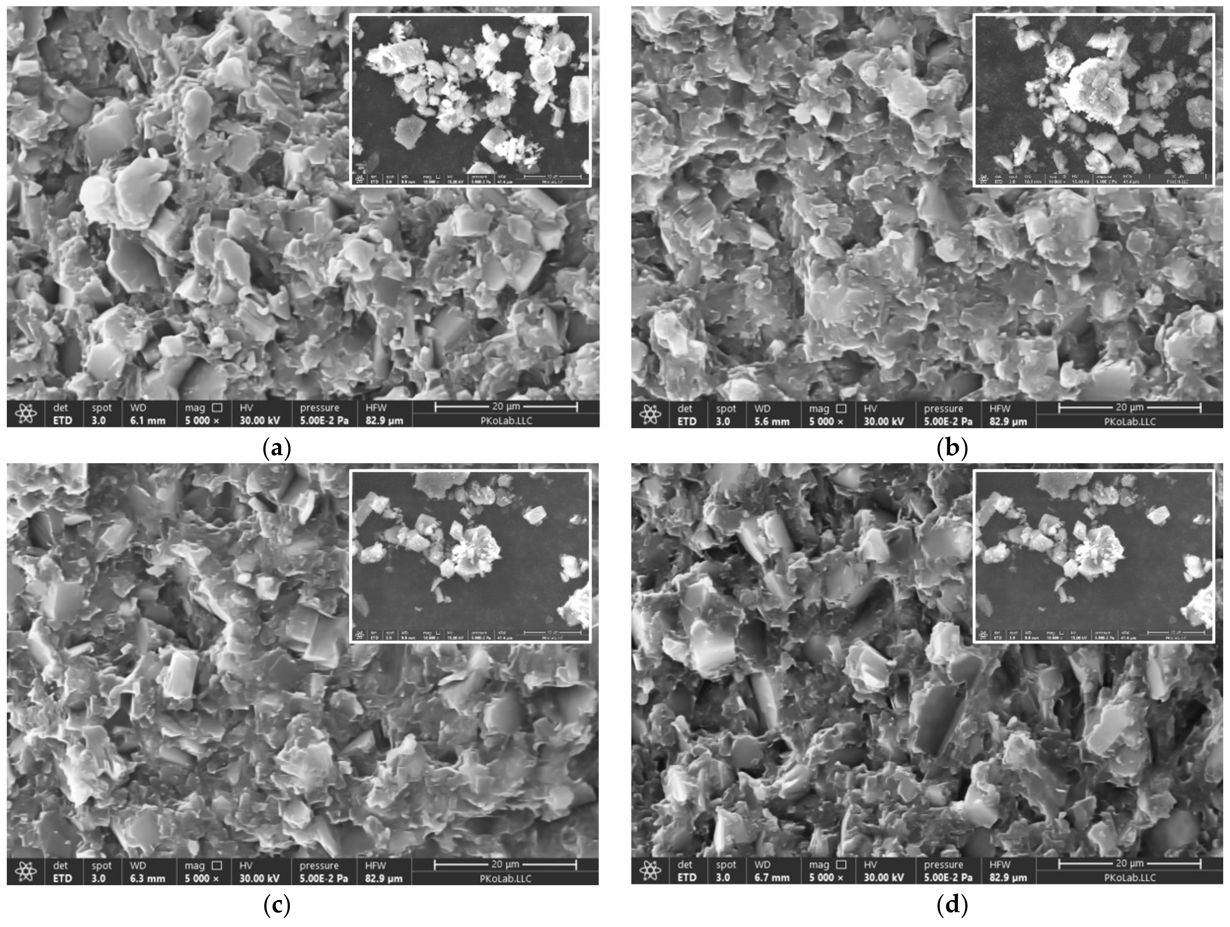 Polymers 15 02452 g007