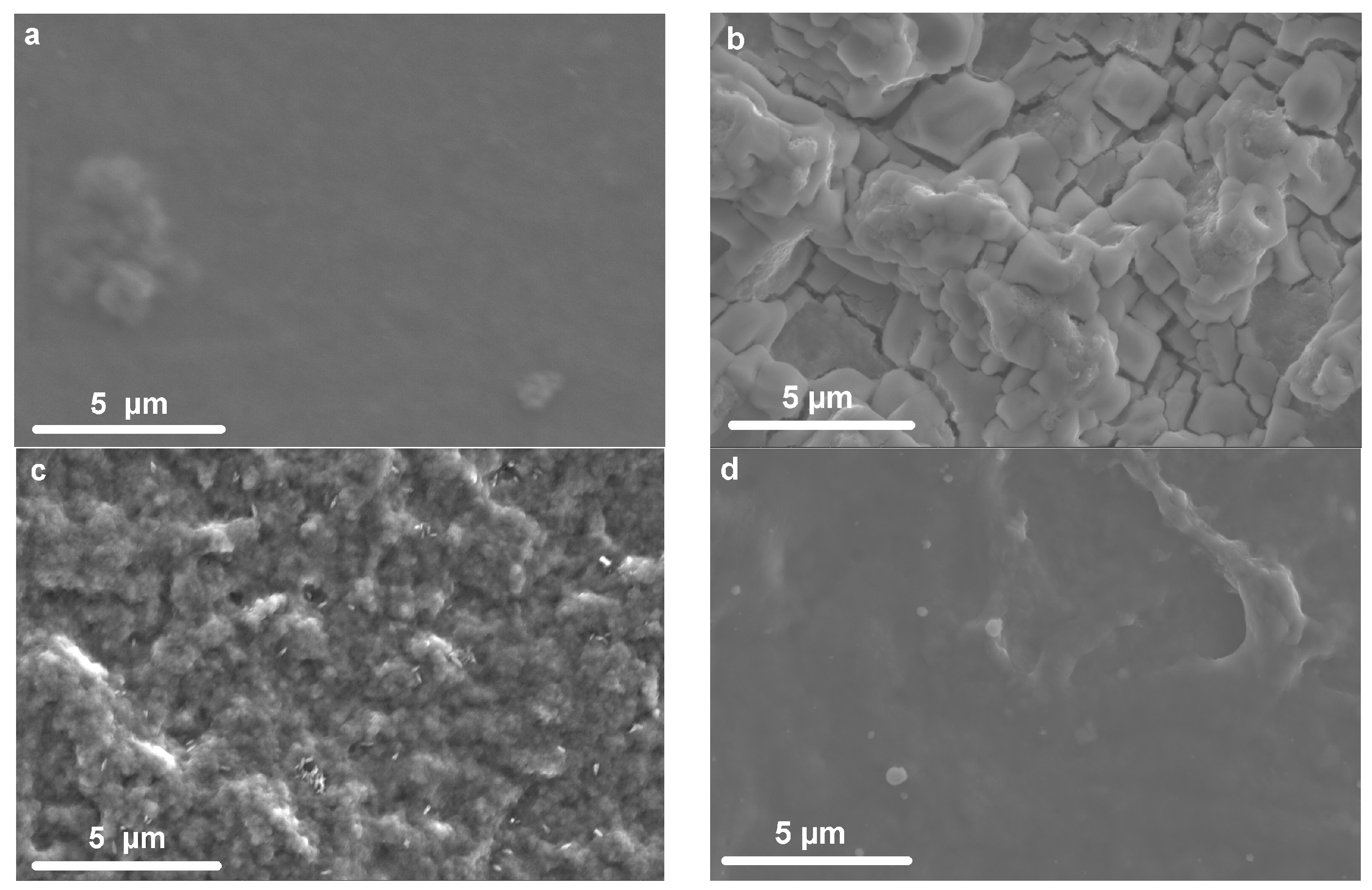 Polymers 15 02468 g004