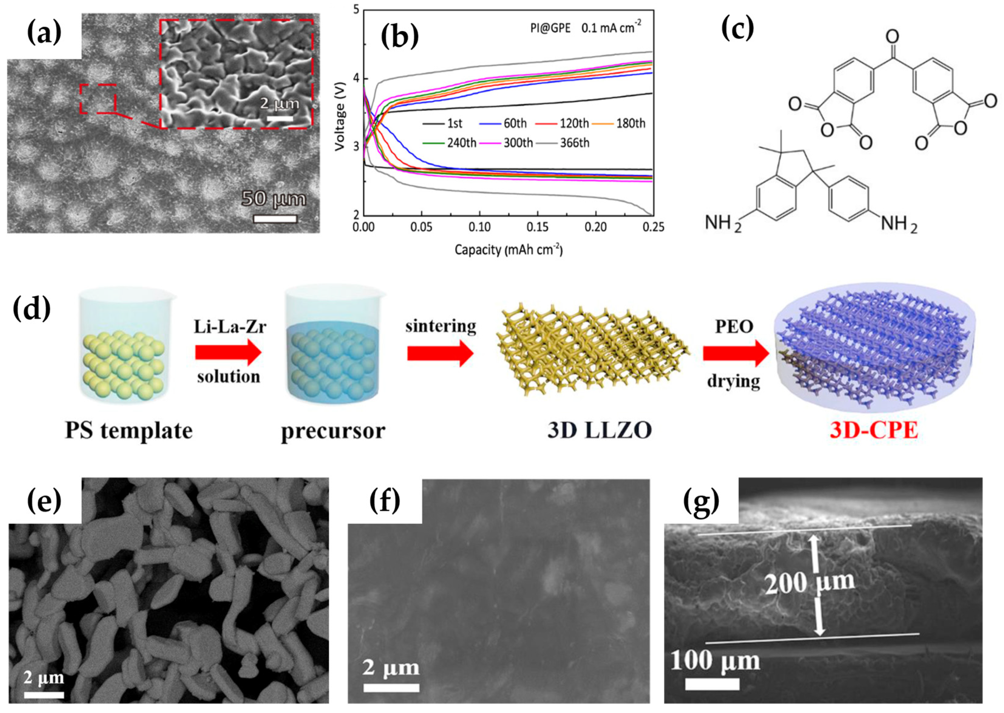 Polymers 15 02469 g006