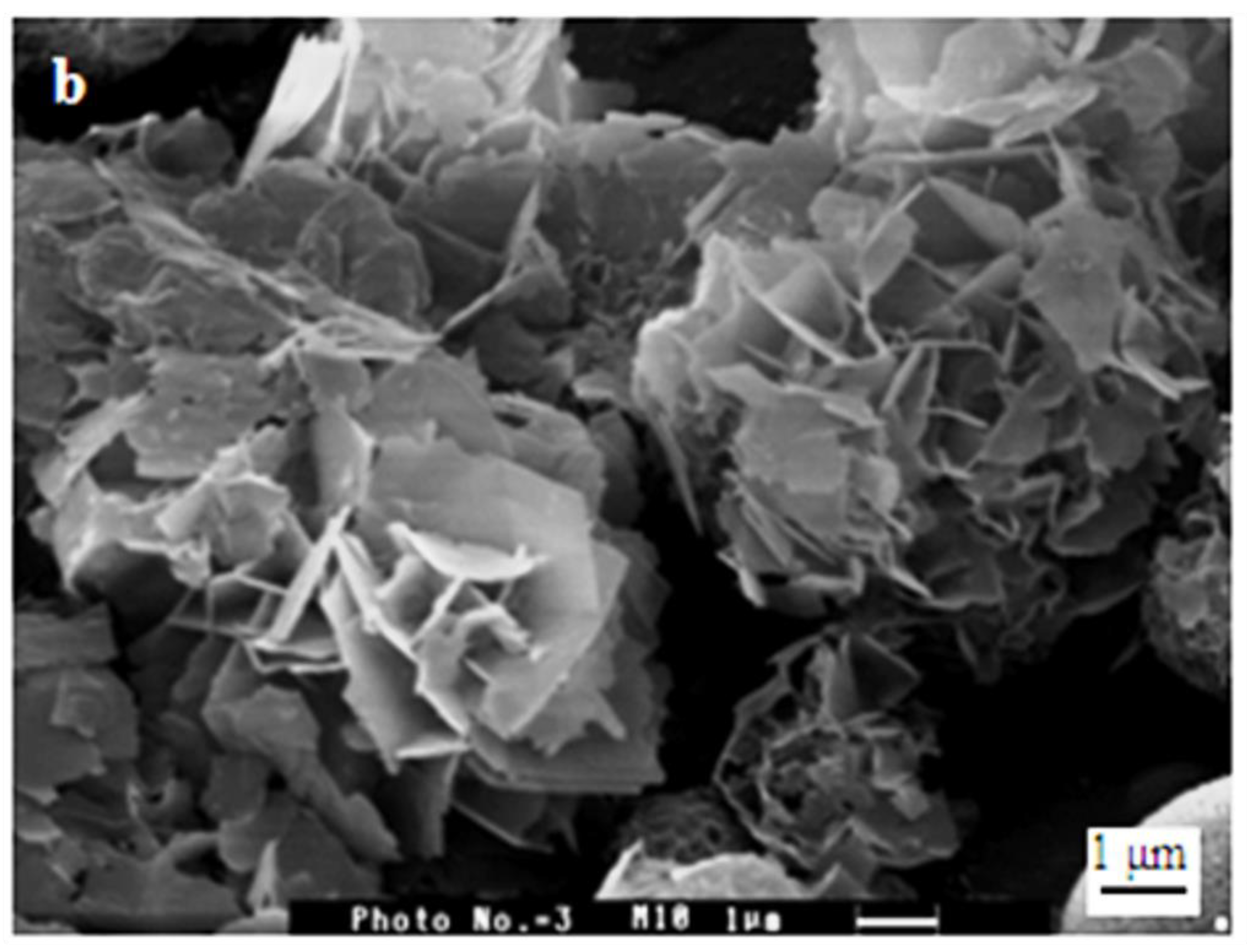 Polymers 15 02470 g005b